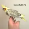 Thumbnail 7
