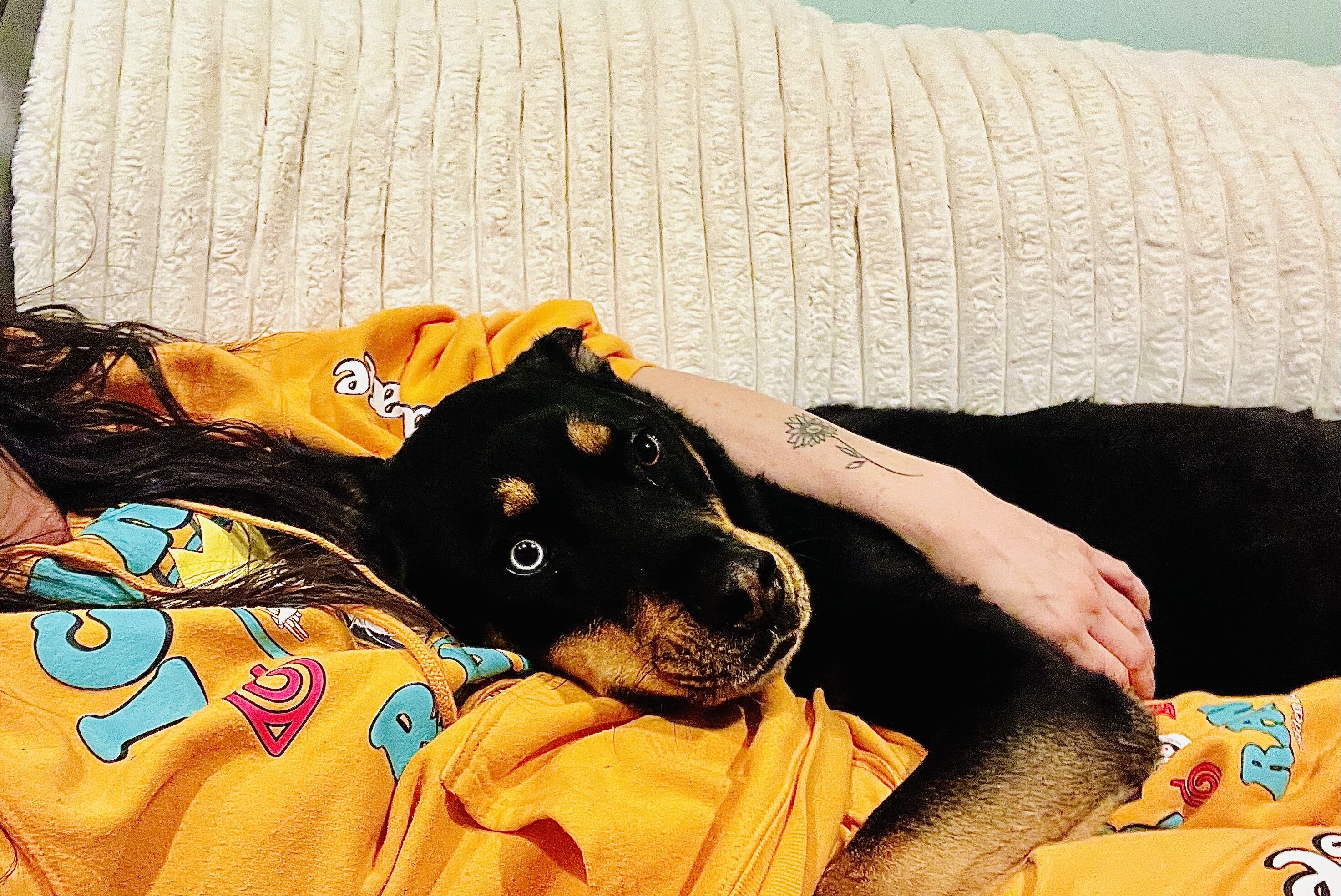 Have to rehome my baby image 5