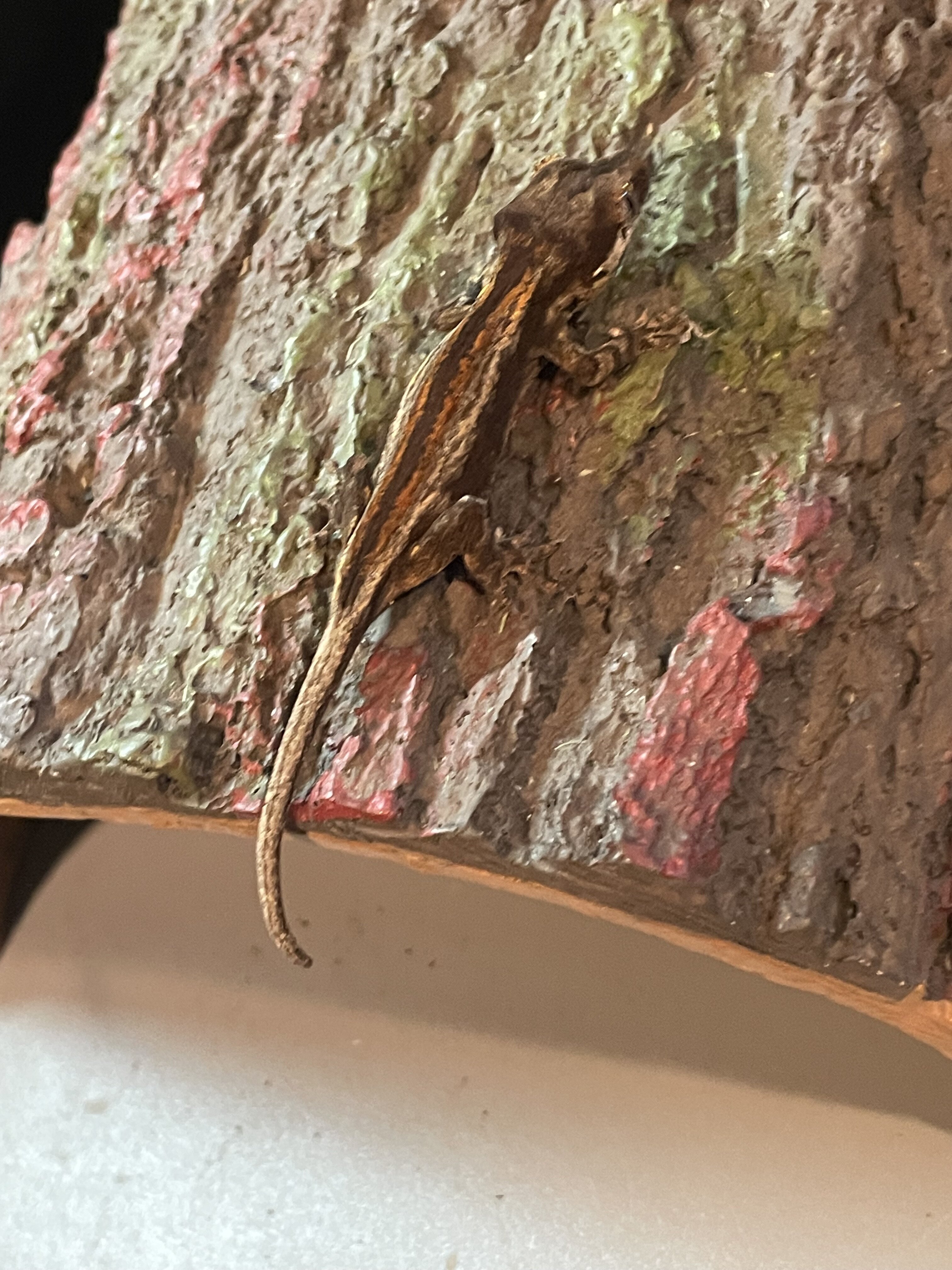 Gargoyle gecko - paper image 2