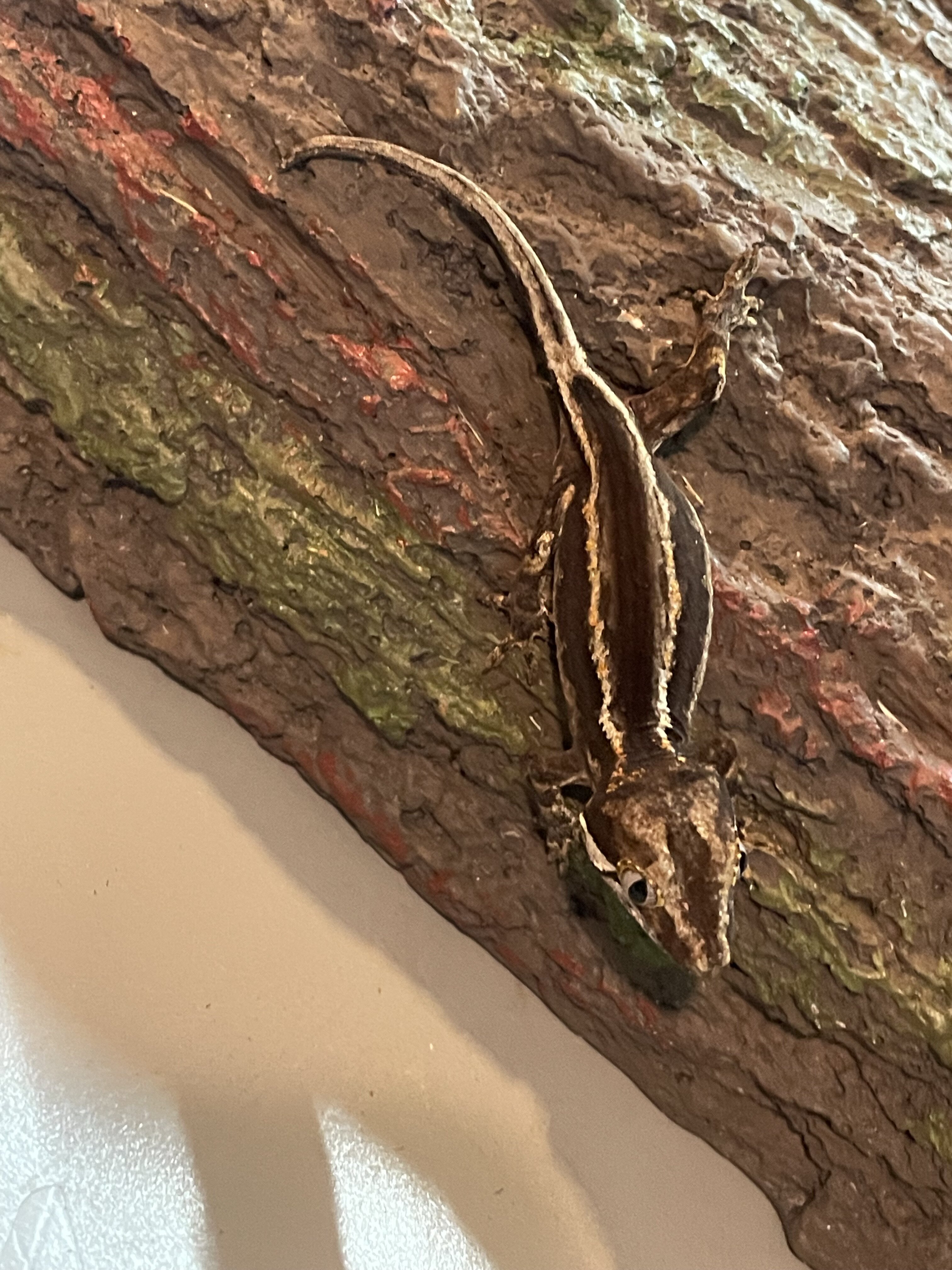 Gargoyle gecko - scissors image 2