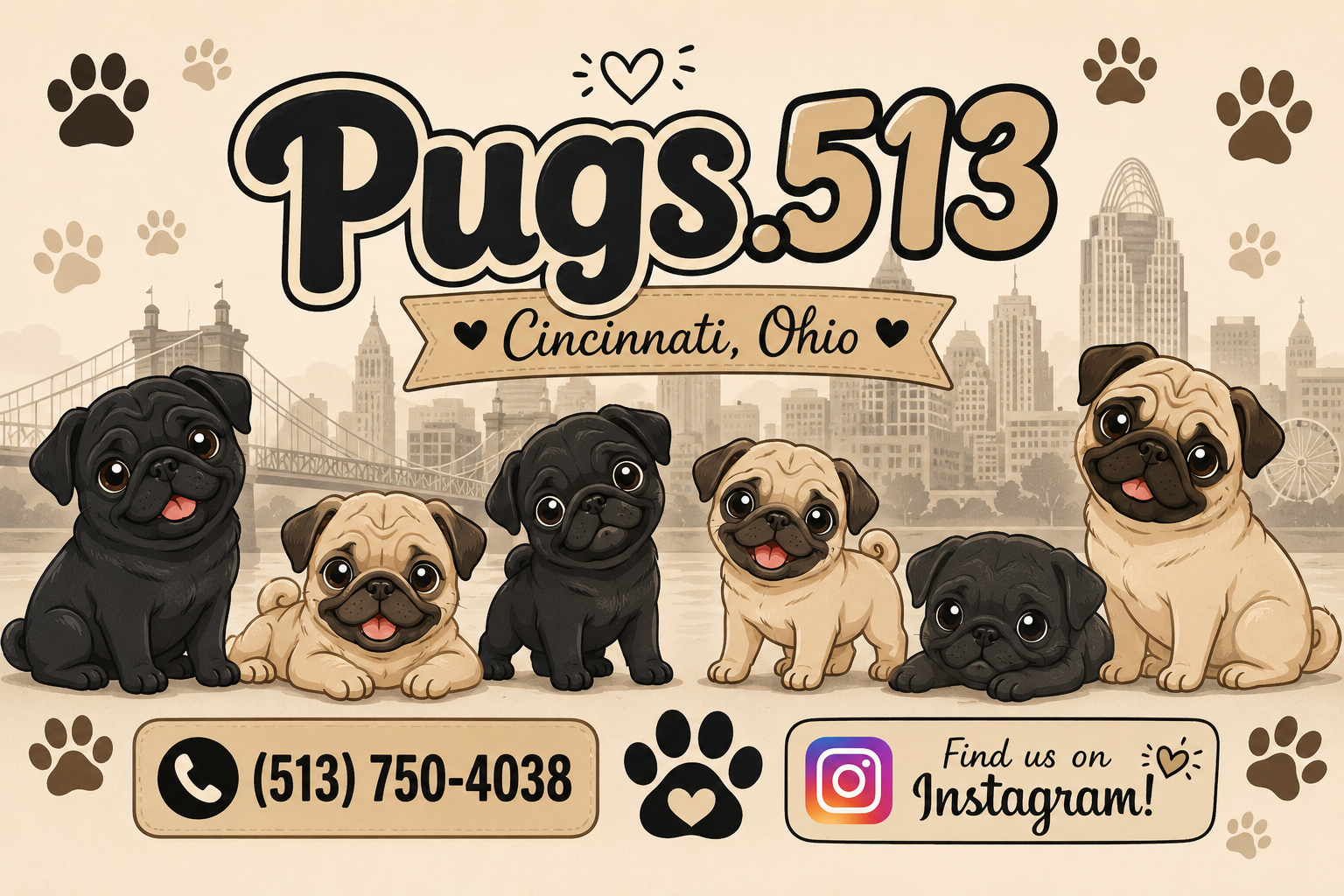 Pretzel Male Pug Puppy image 3
