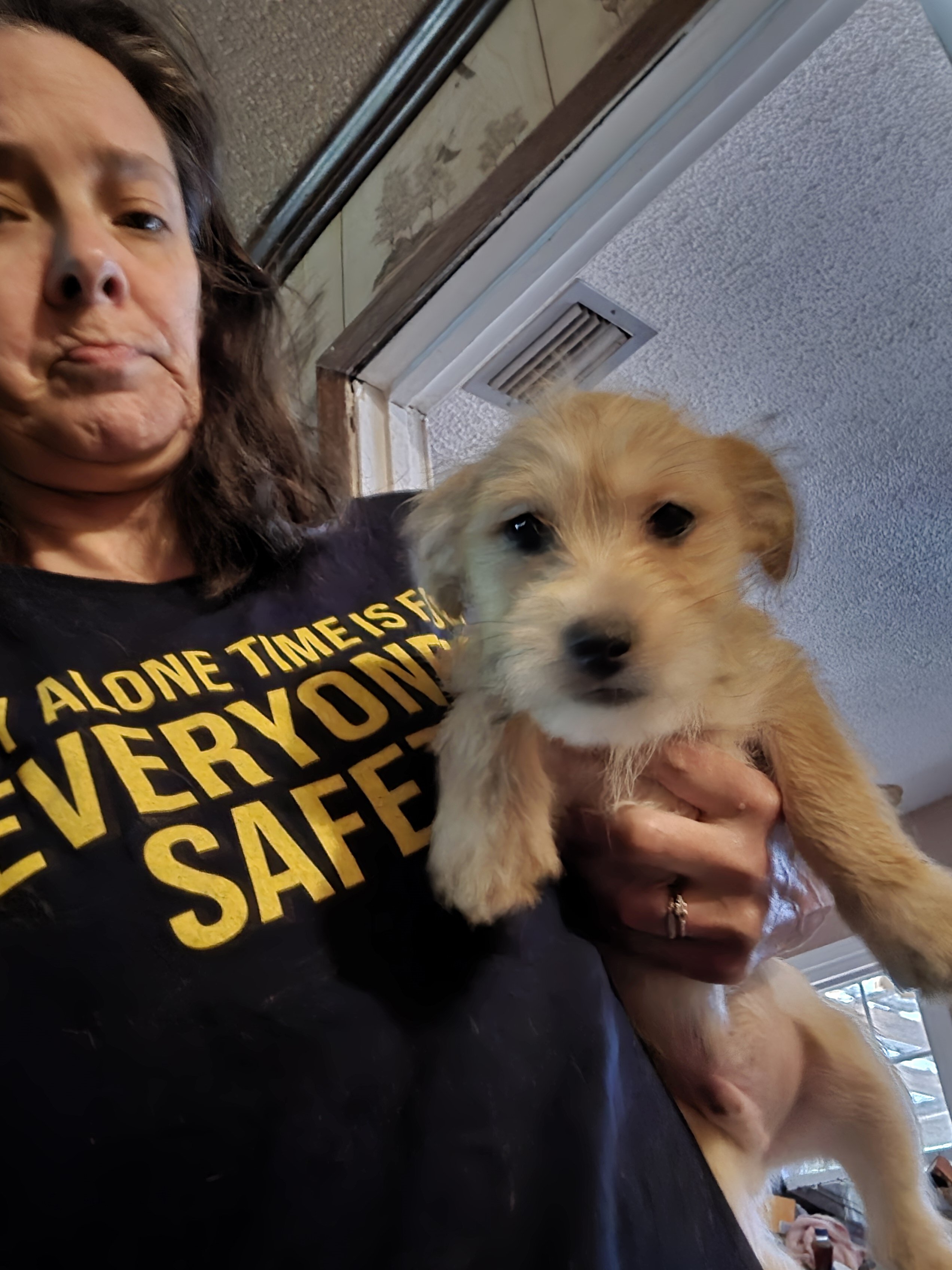 2 month old puppies image 3