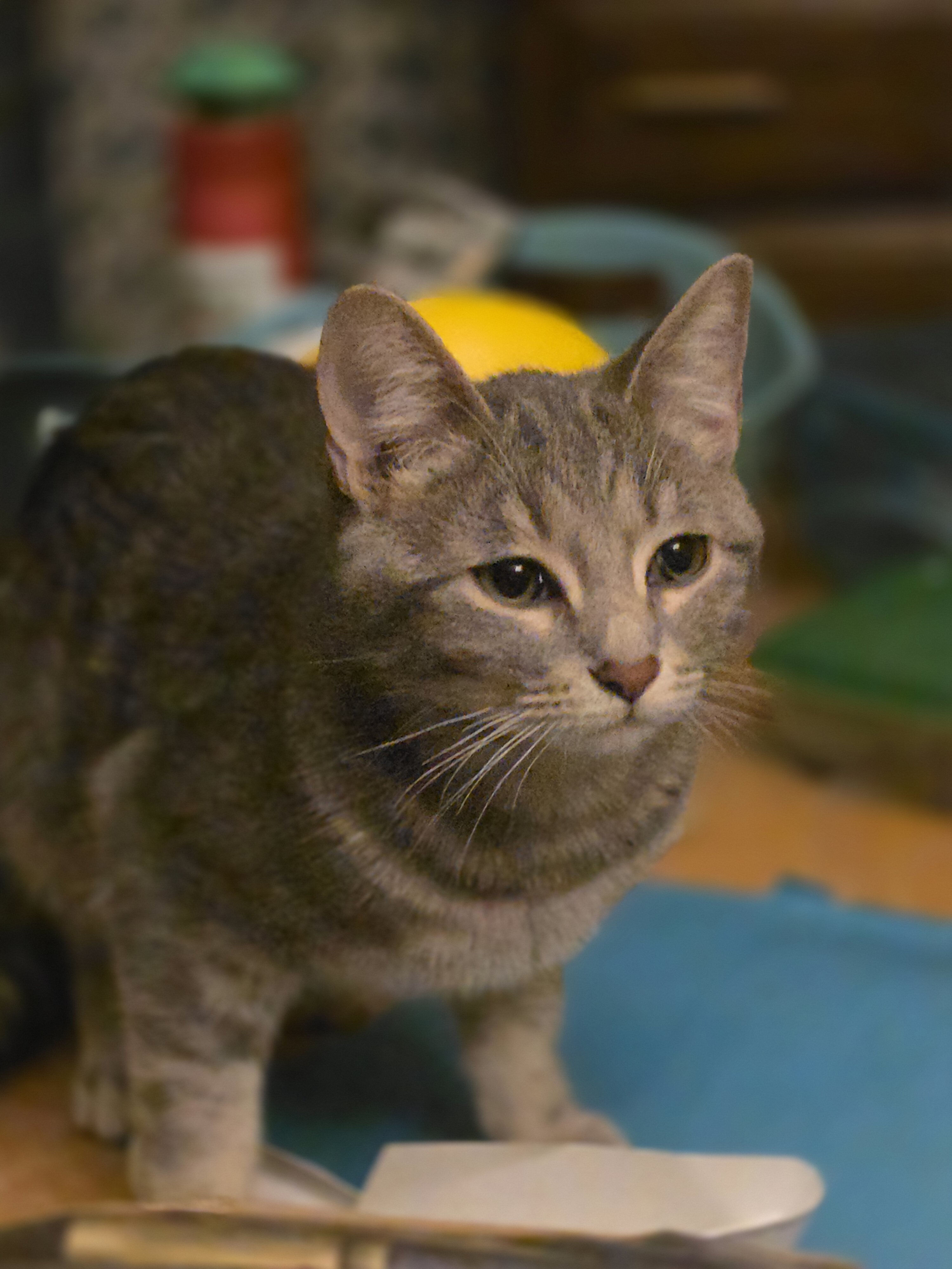Smidge image 1