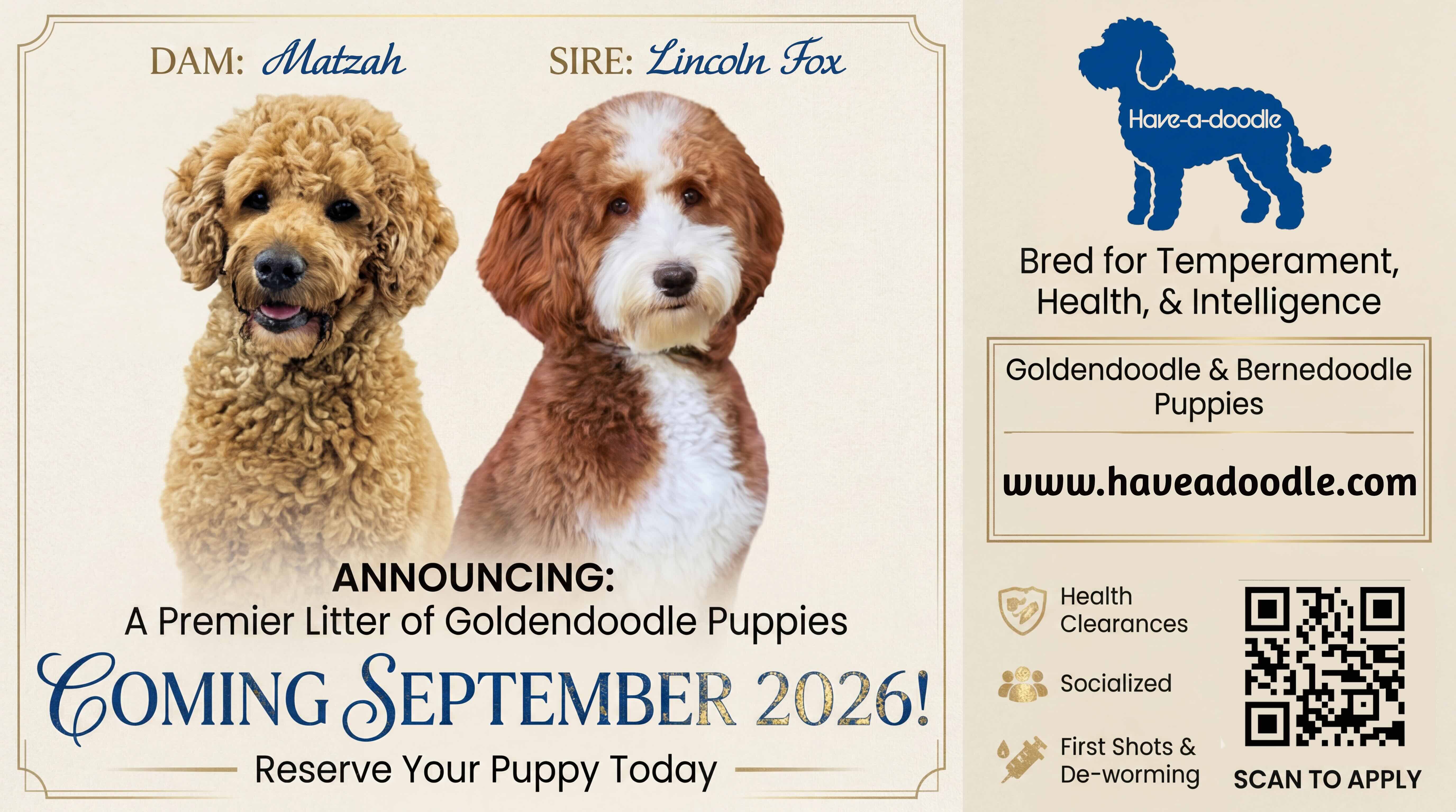Goldendoodle Puppies image 1