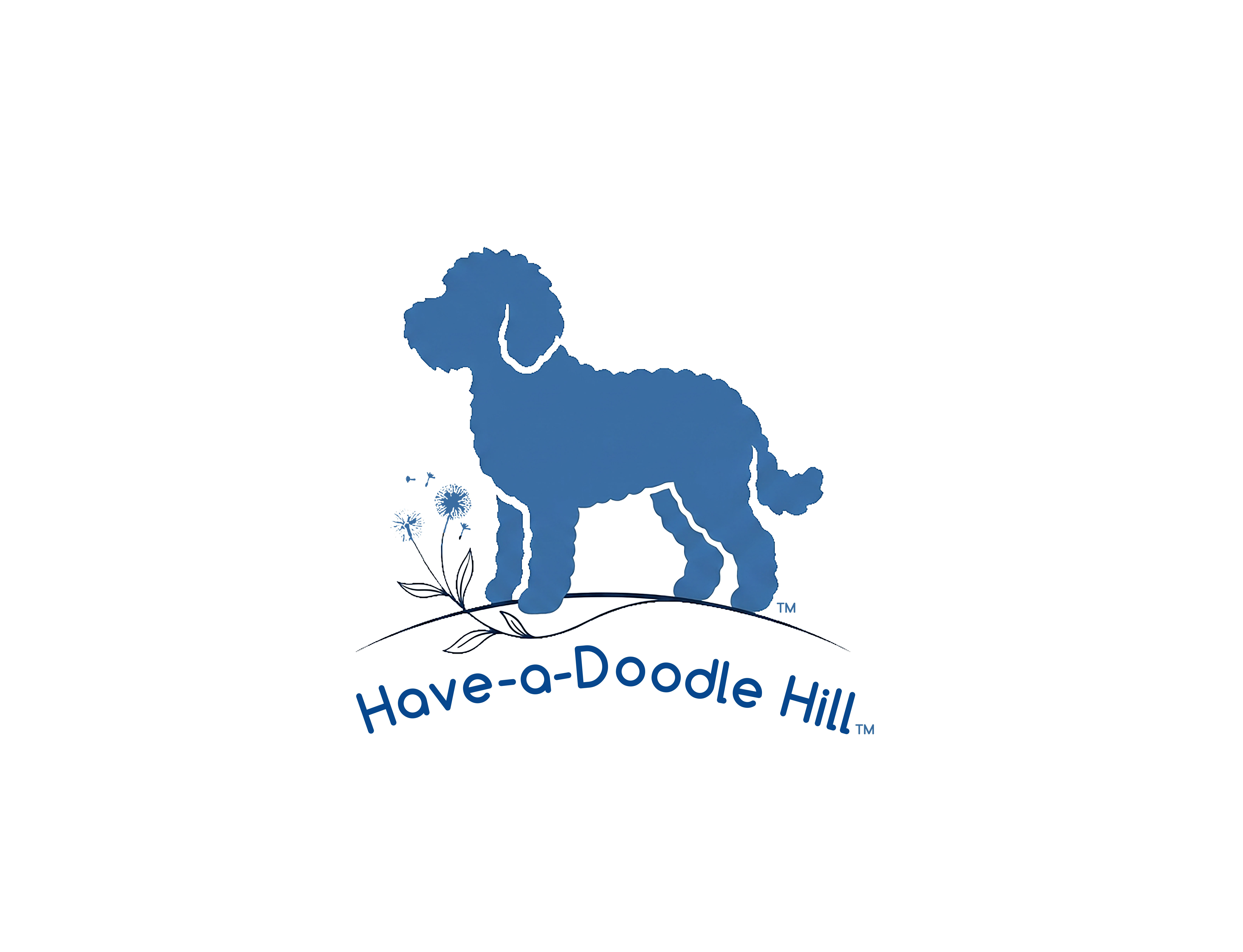 Goldendoodle Puppies image 2