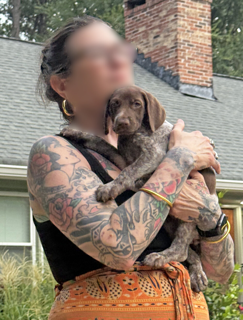 Amazing German Shorthaired Pointer Pups Available! image 4