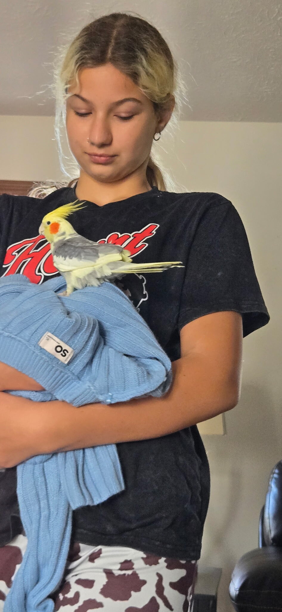 4 Cockatiels image 2