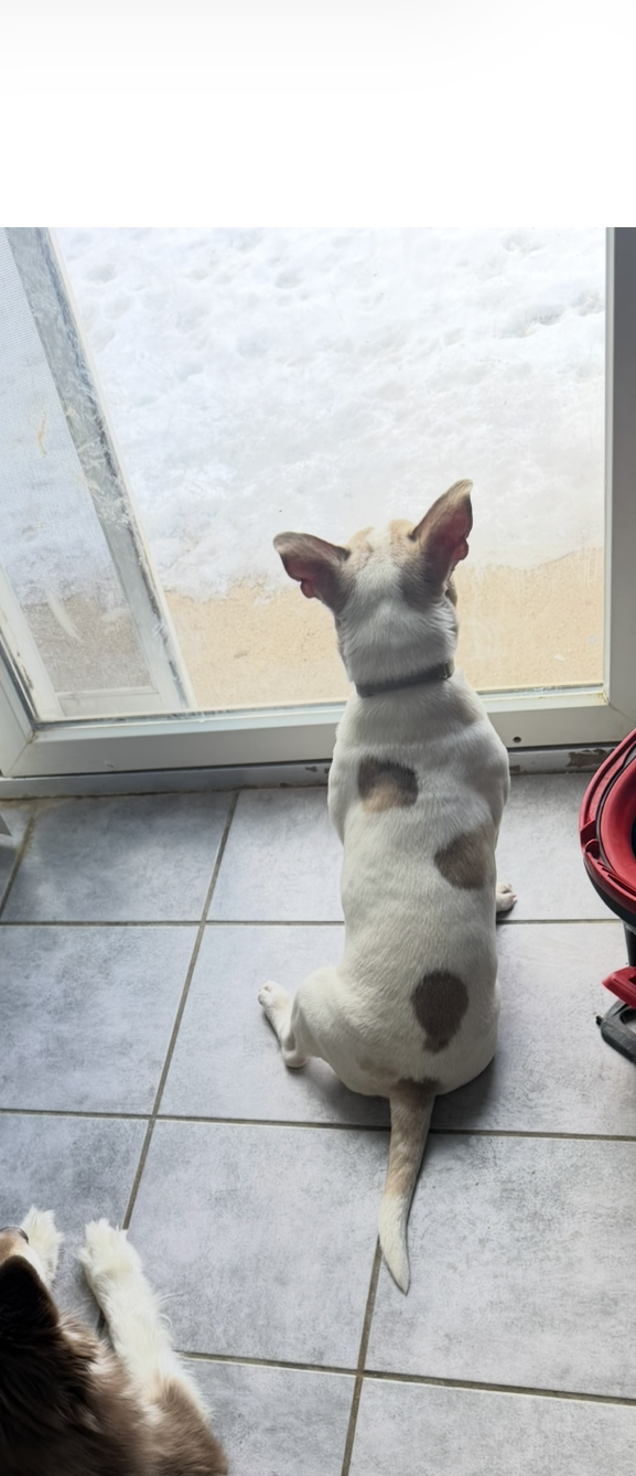 Need to rehome image 2