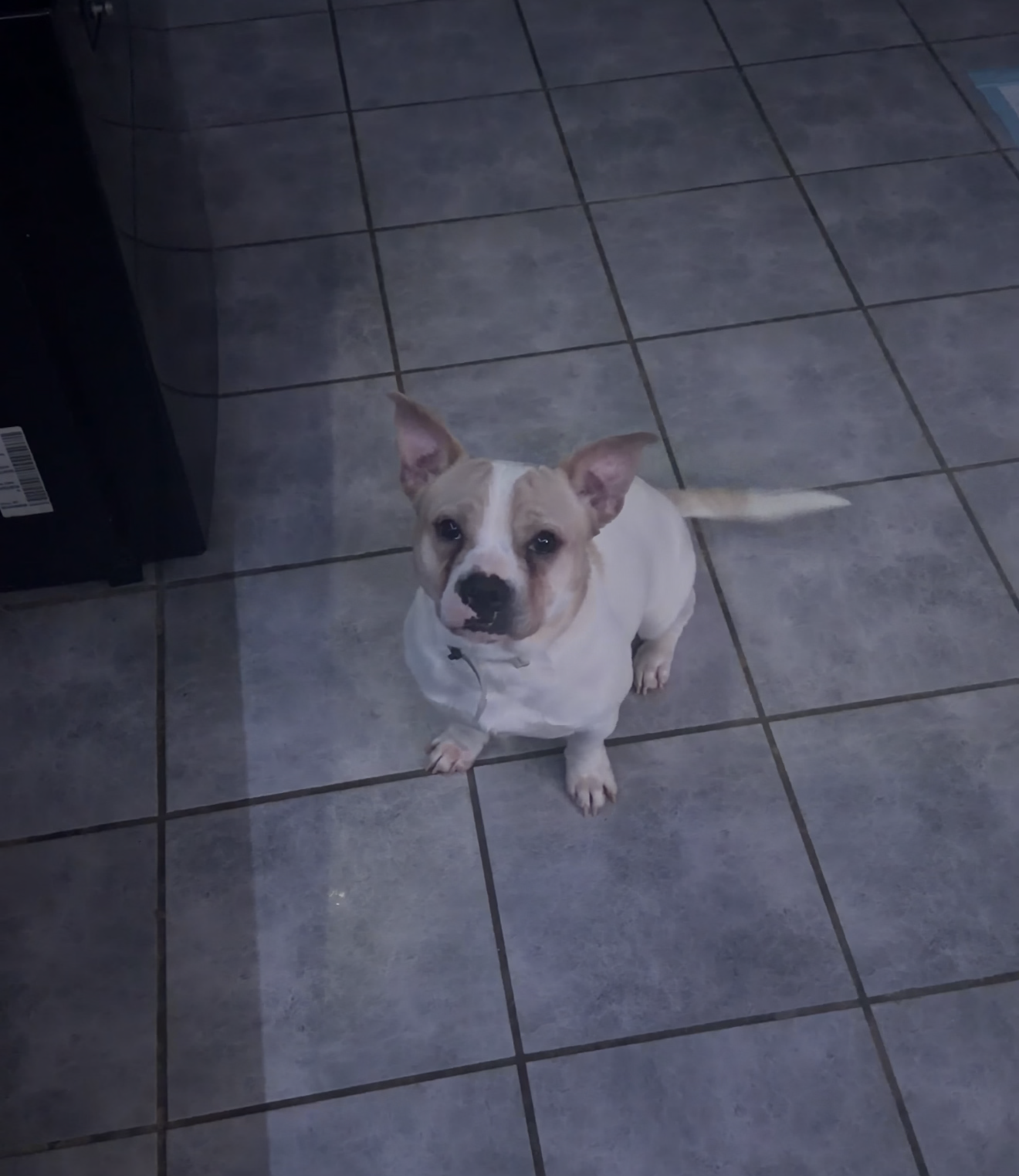 Need to rehome image 3