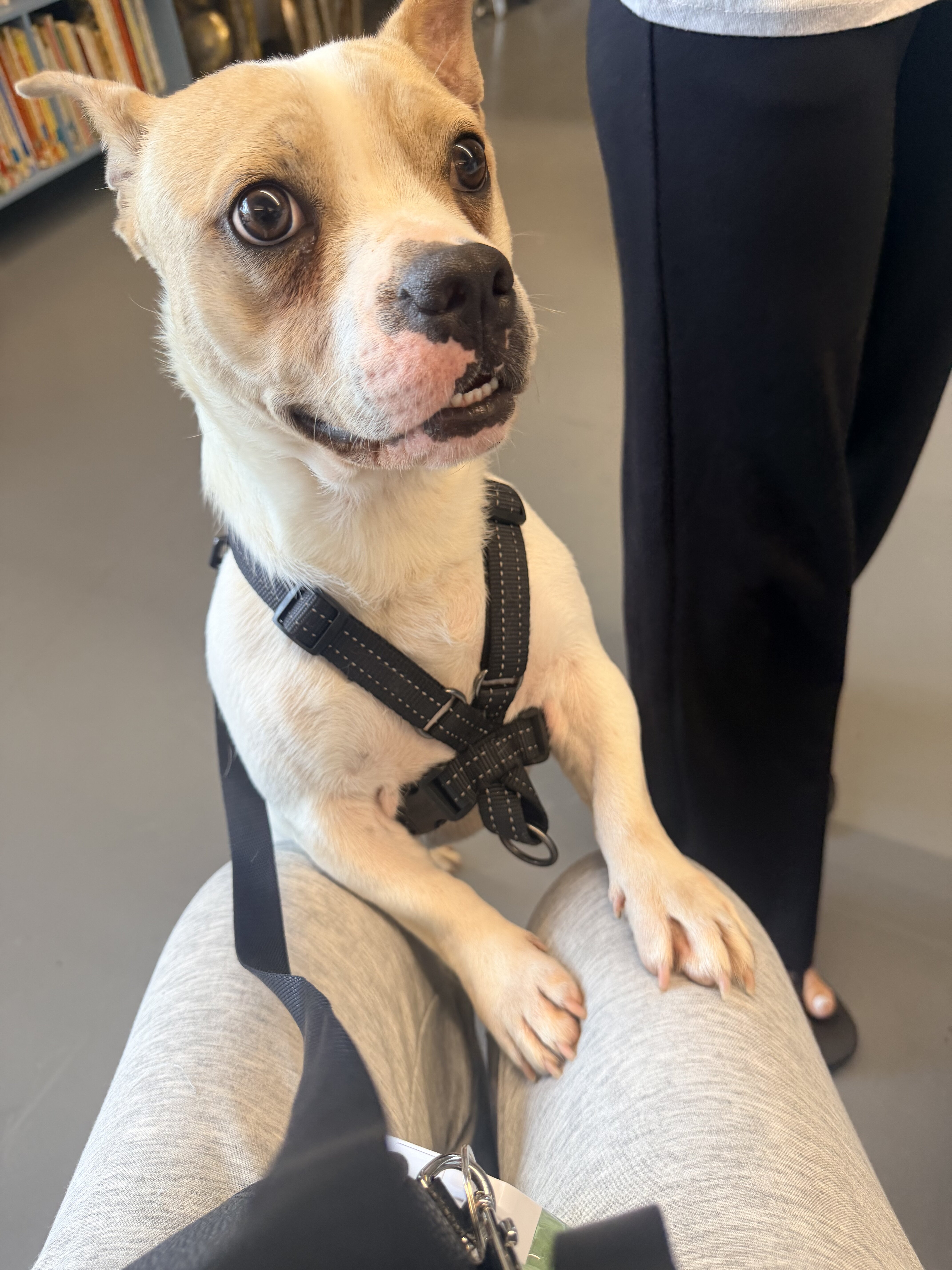 Need to rehome image 1