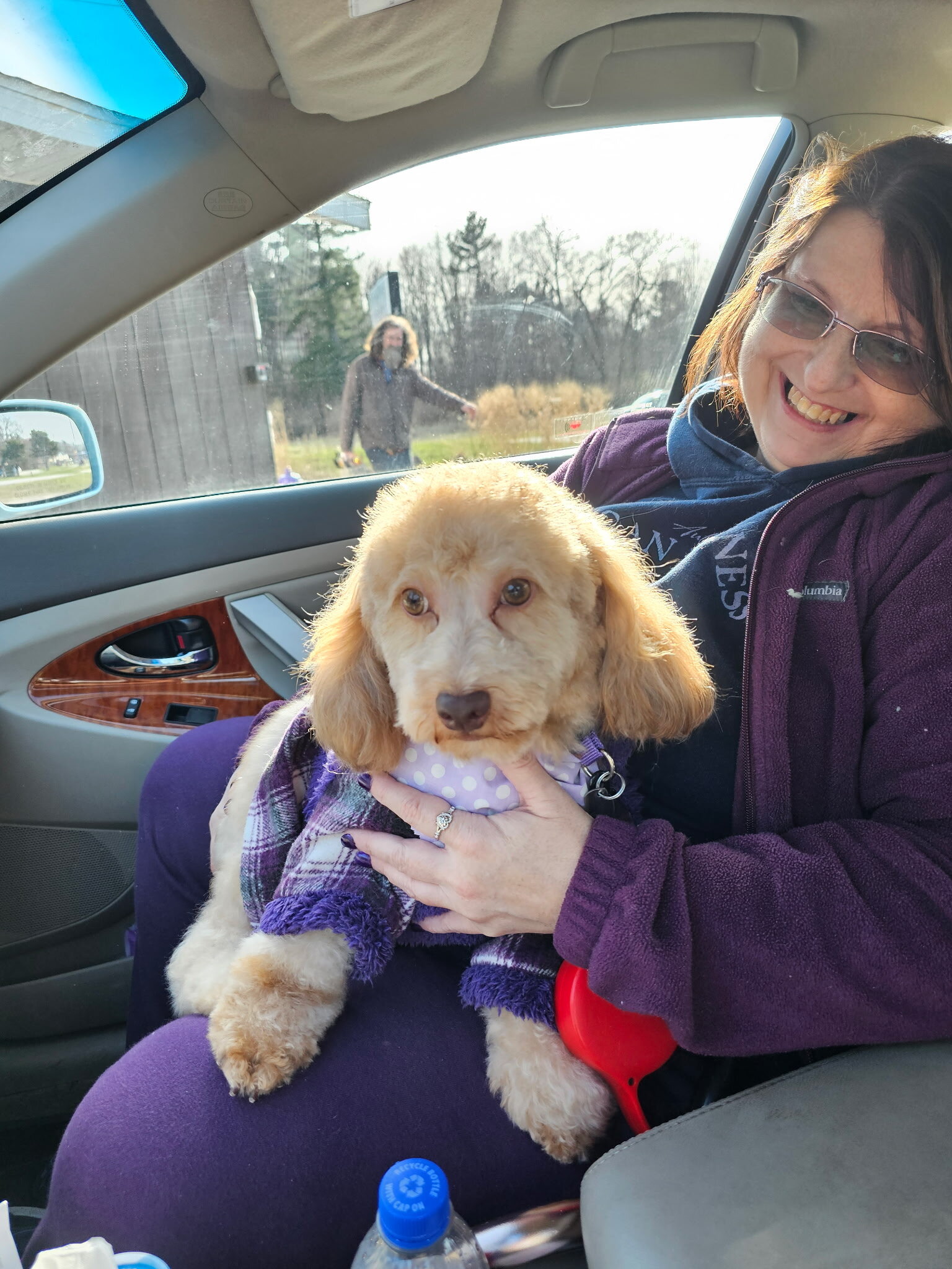 Rehoming Havanese/Poodle to a good home image 2