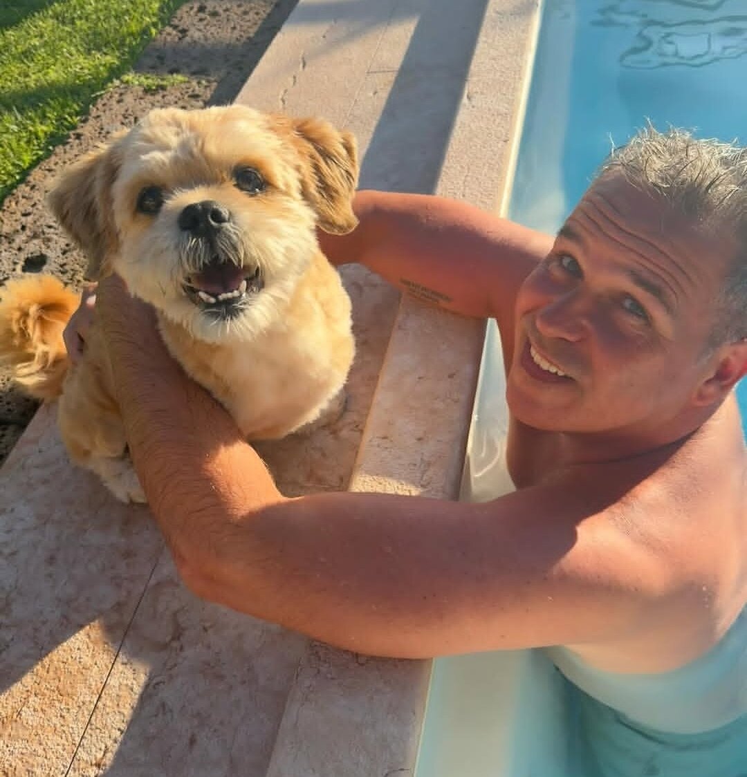 Beautiful Lhasa Apso boy available image 2
