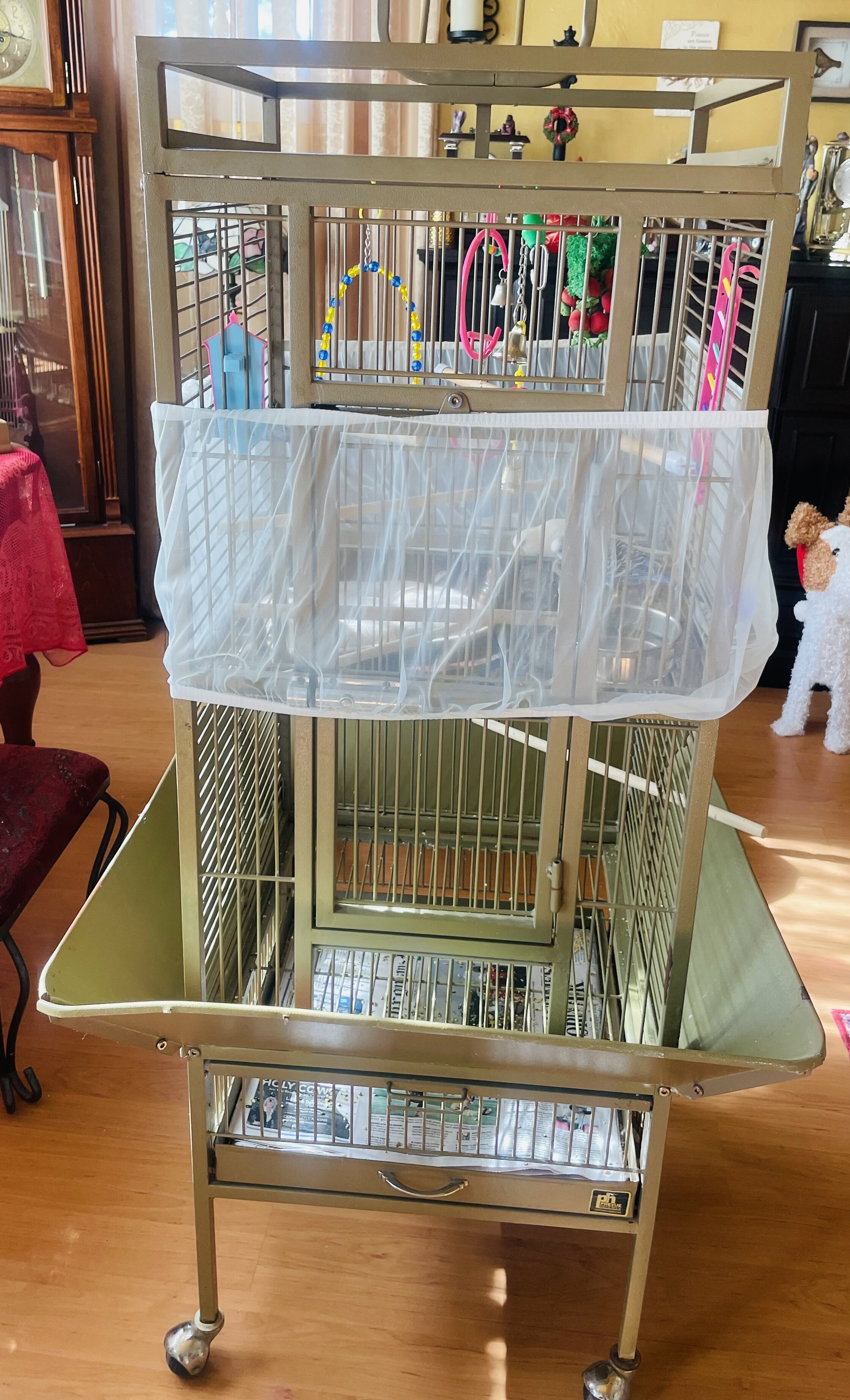 Adorable Parakeets image 2