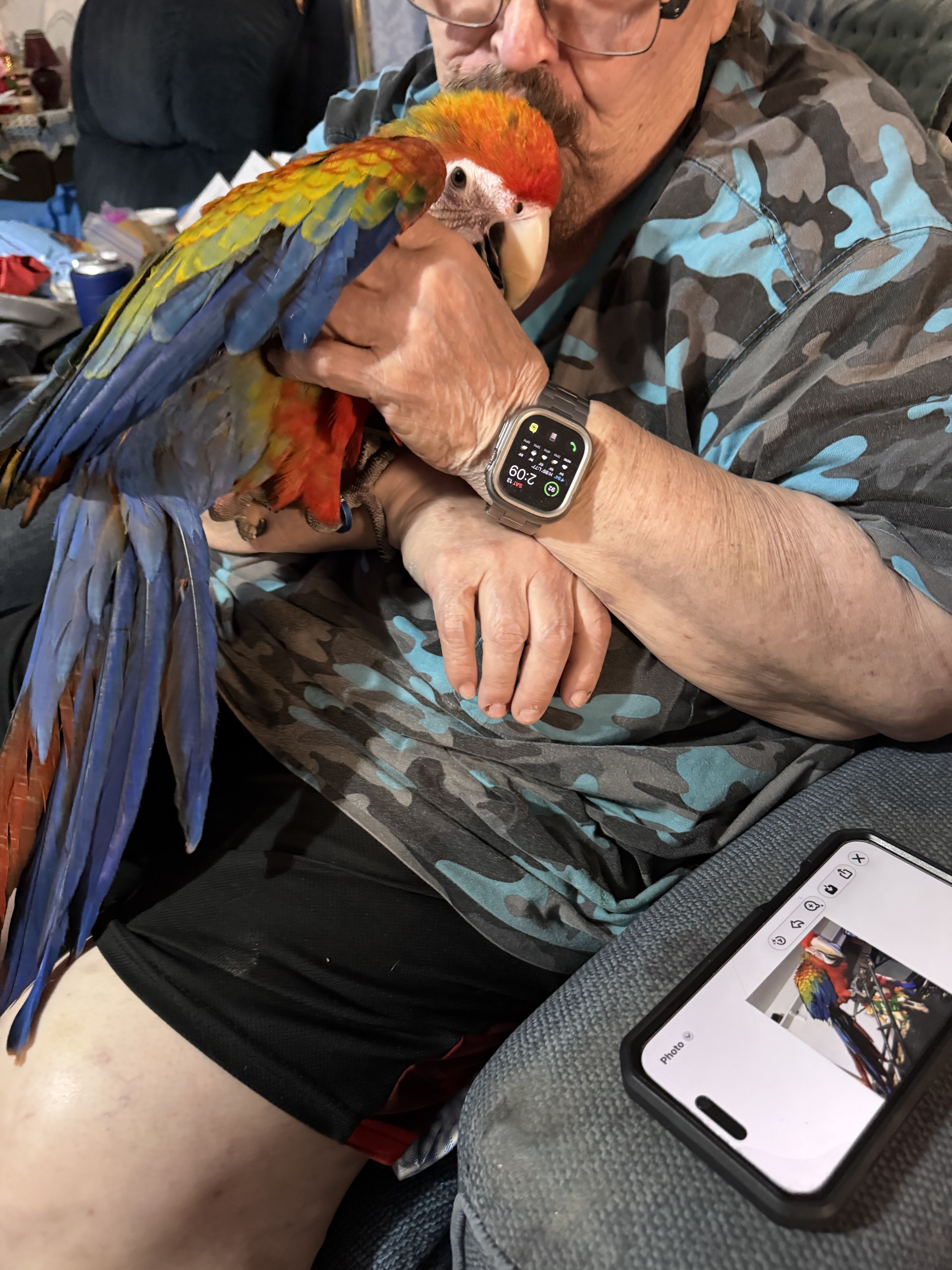 Red Camelot Macaw image 2
