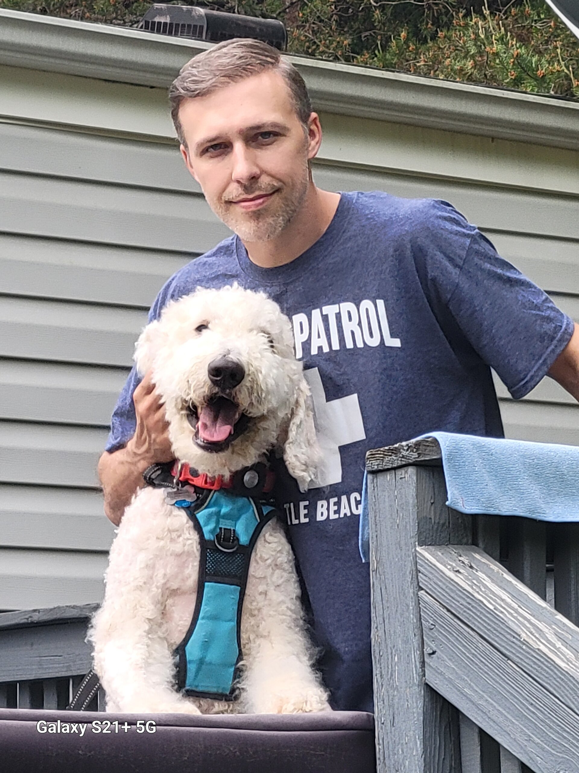 FREE Golden Doodle F2B 4 y/o image 3