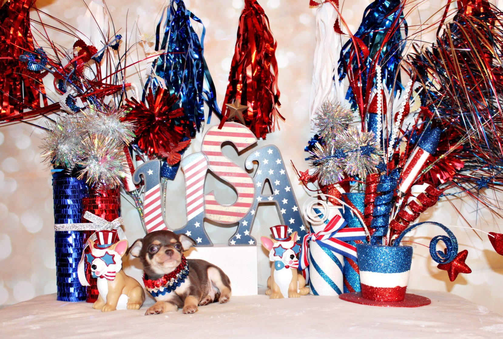 Gossett - Adorable Chocolate and Tan Baby image 4