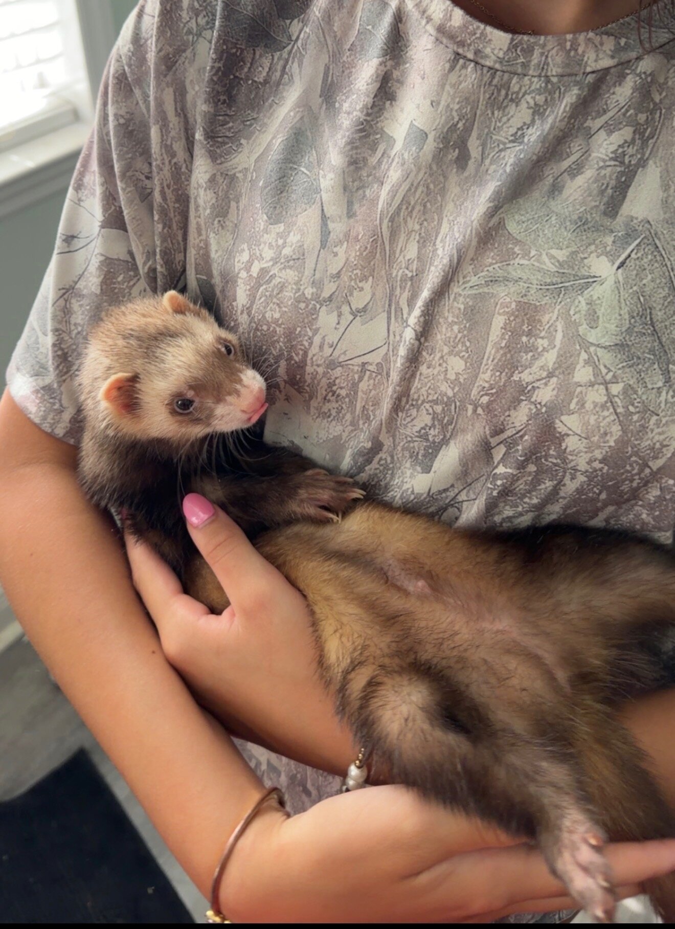2 ferrets image 2