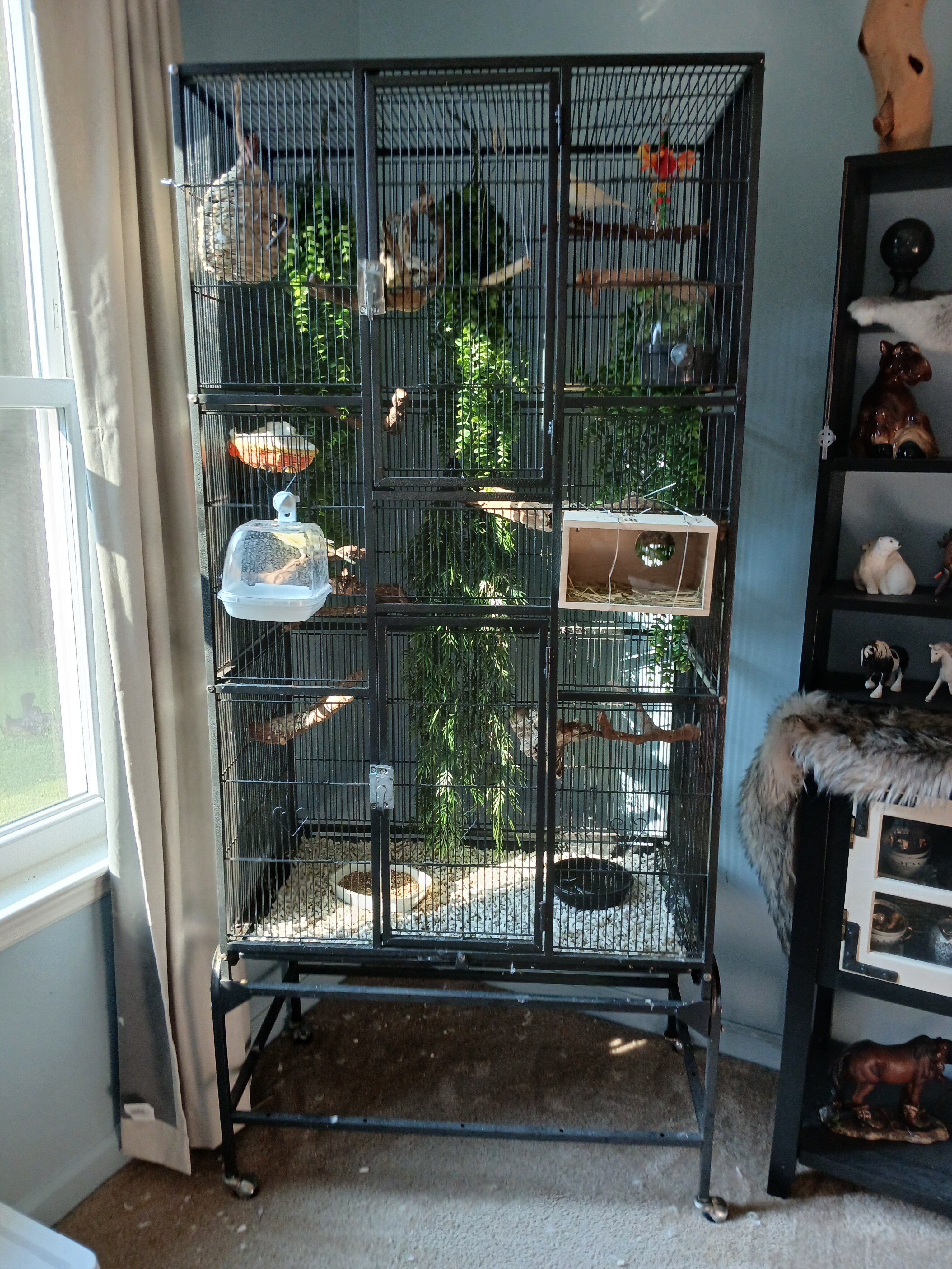 Cage and 2 canaries image 1