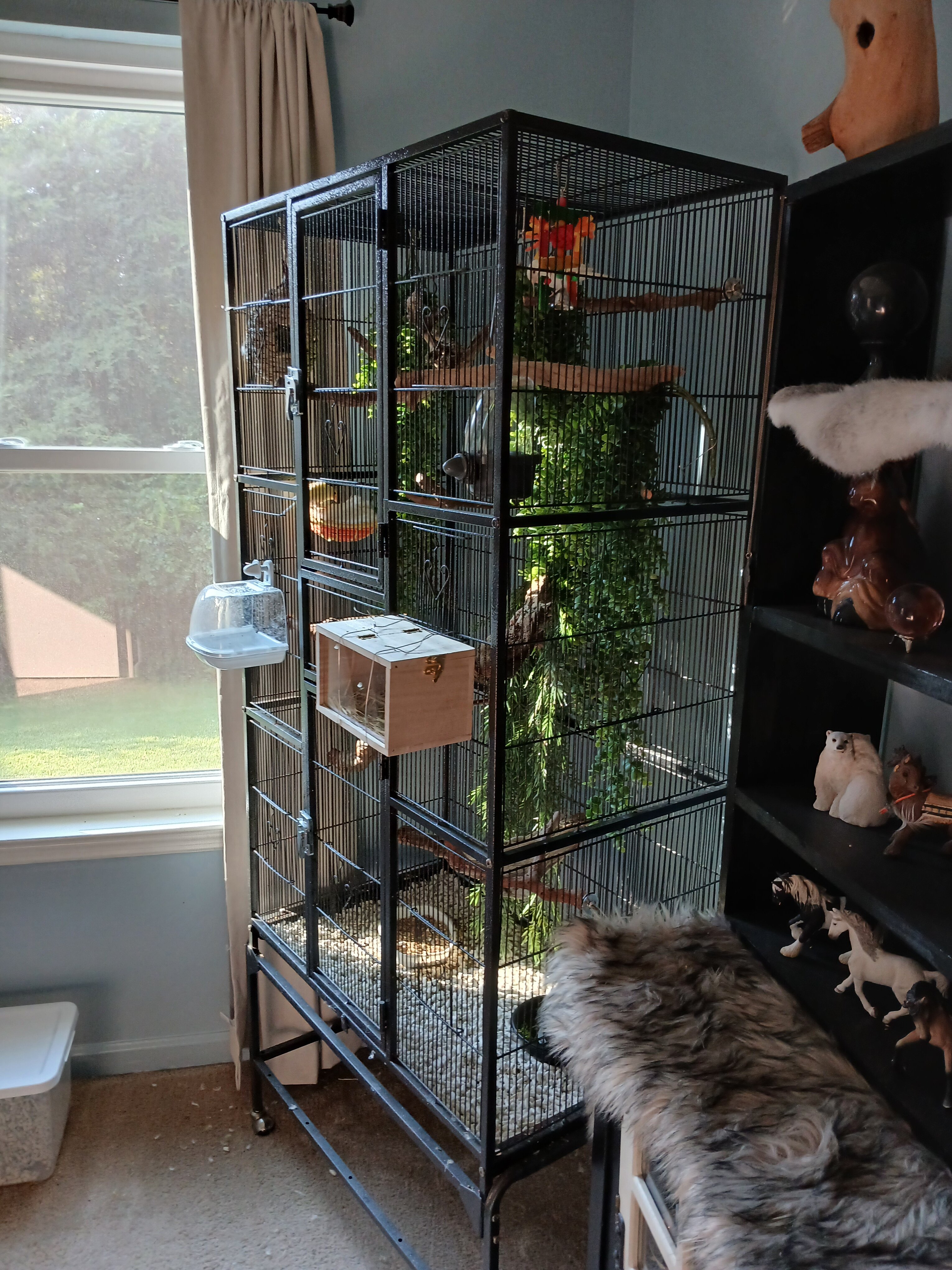 Cage and 2 canaries image 2