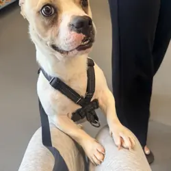 Need to rehome