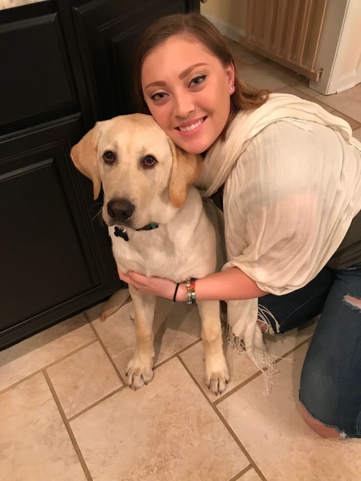 Dog image 2