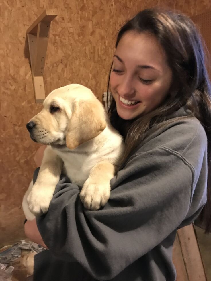 Dog image 3