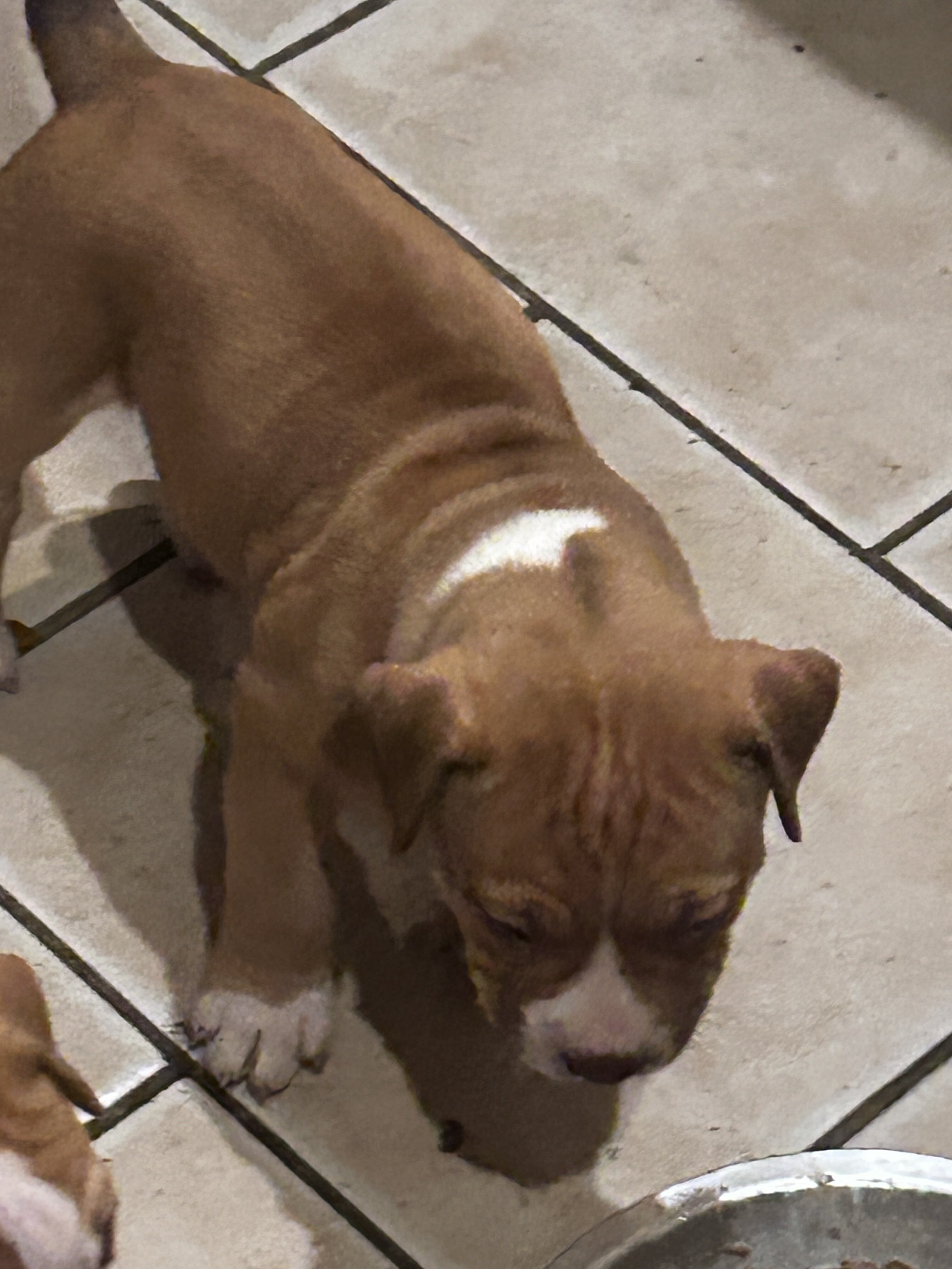Cutest baby pits image 9