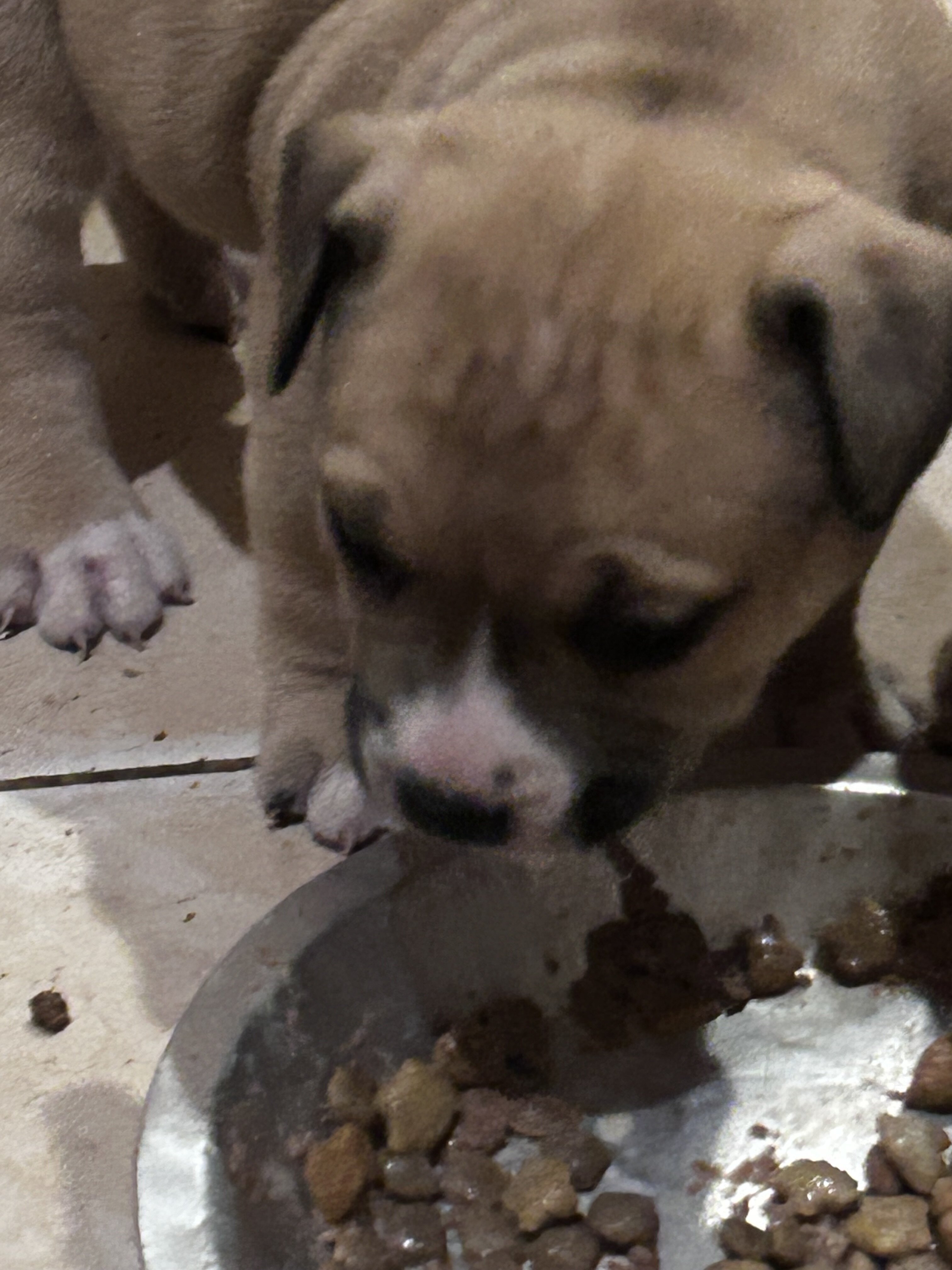 Cutest baby pits image 8