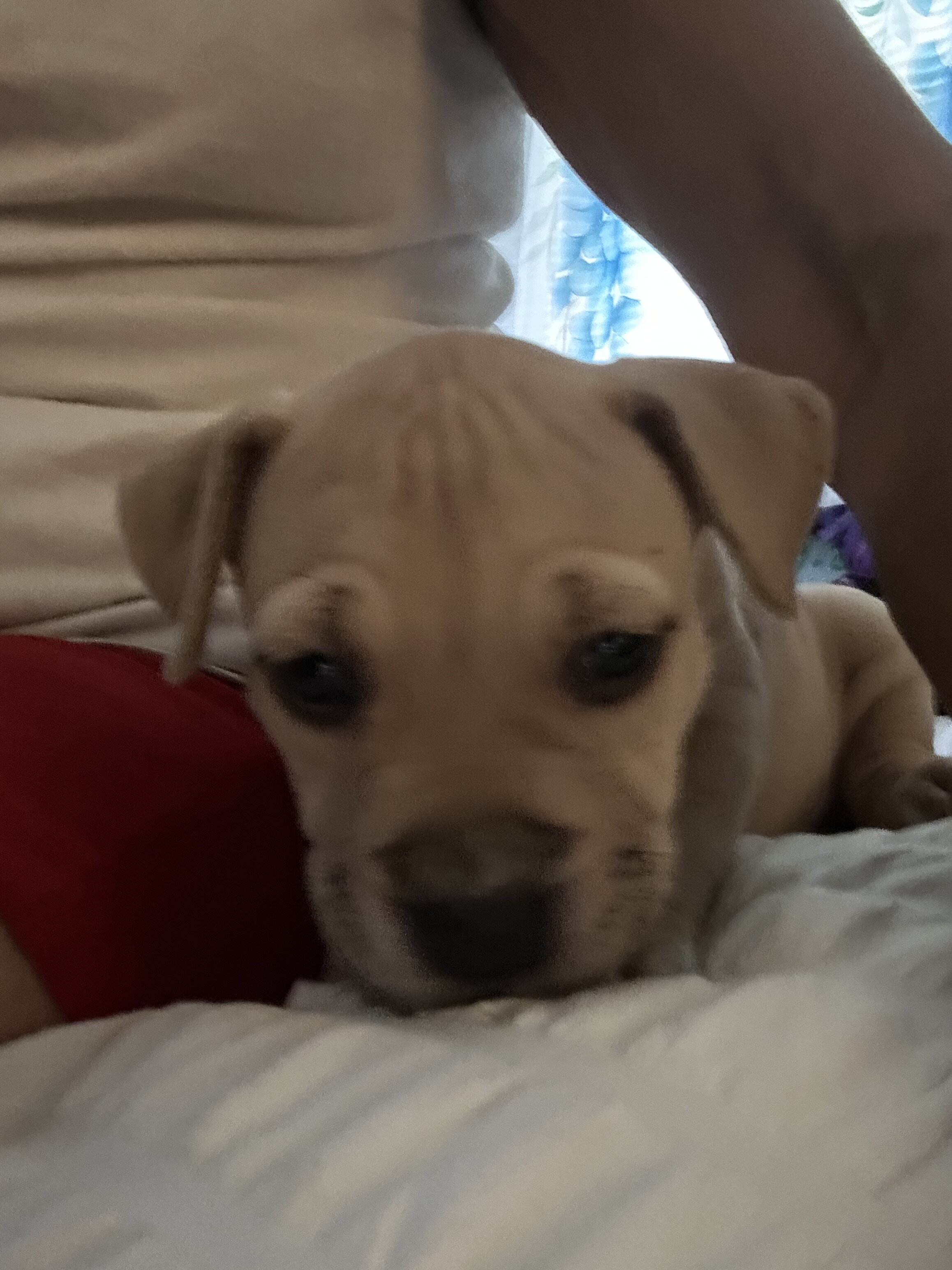 Cutest baby pits image 5