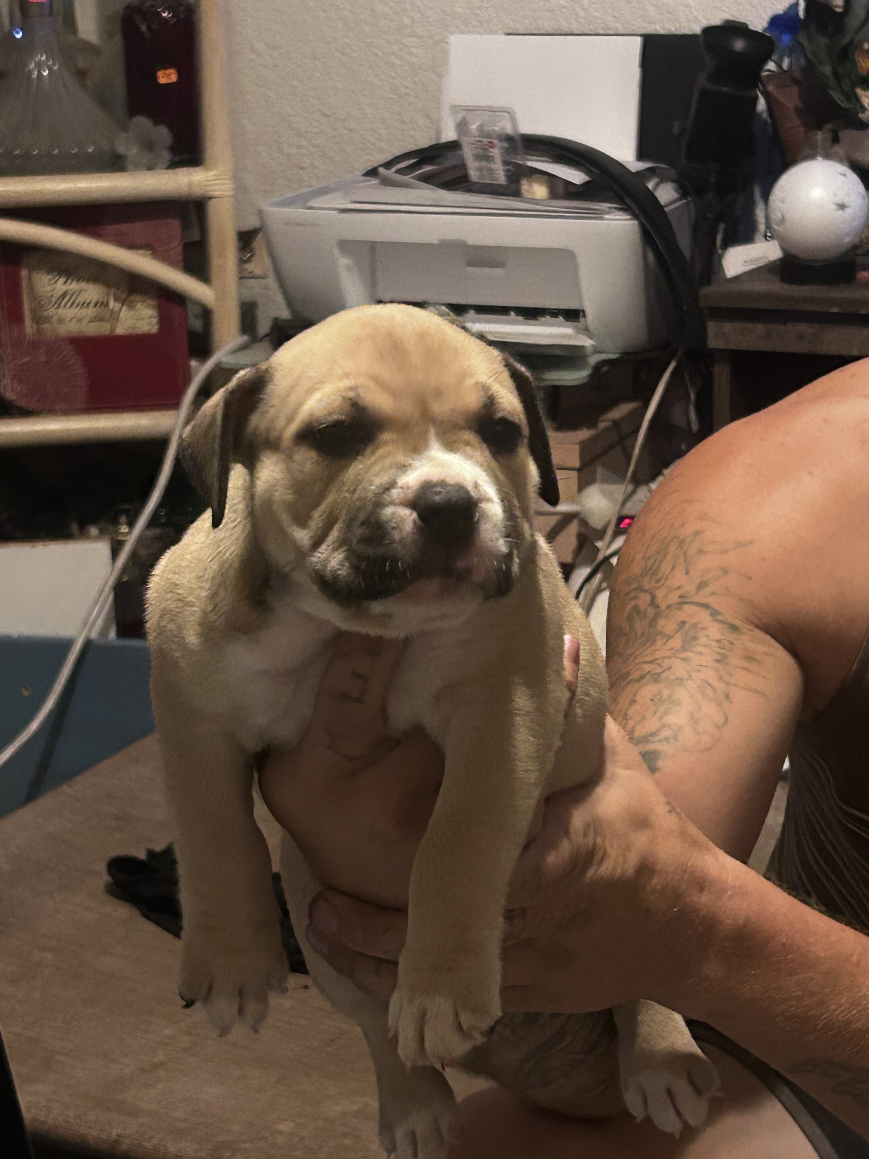 Cutest baby pits image 2