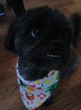 Wai Wai image 1