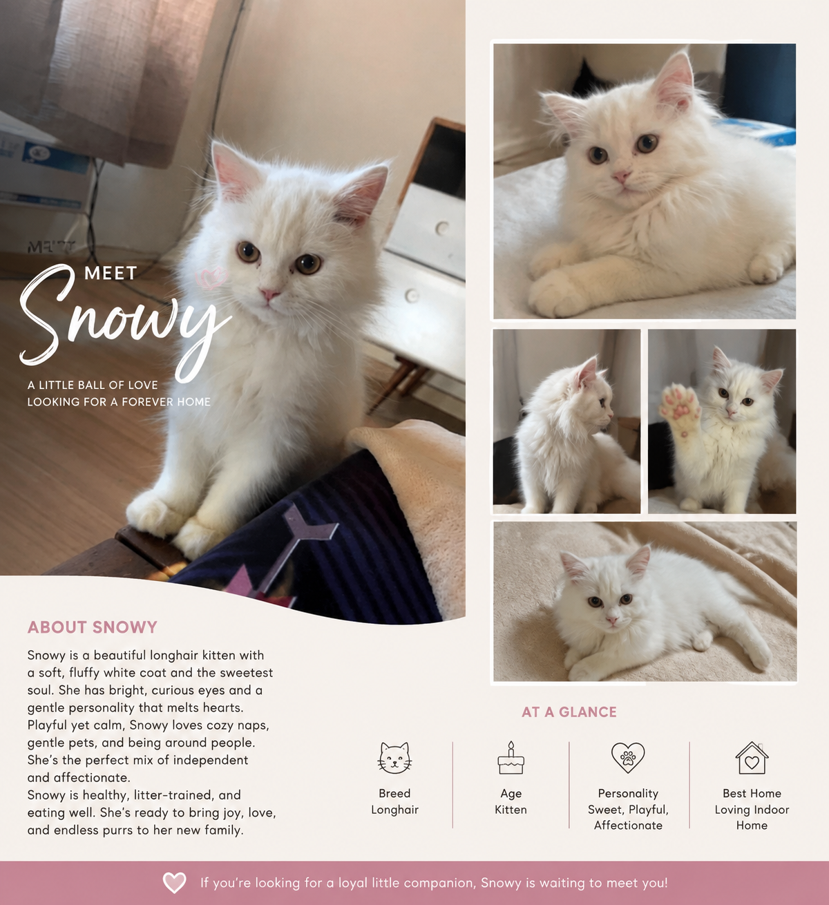 Snowy image 2