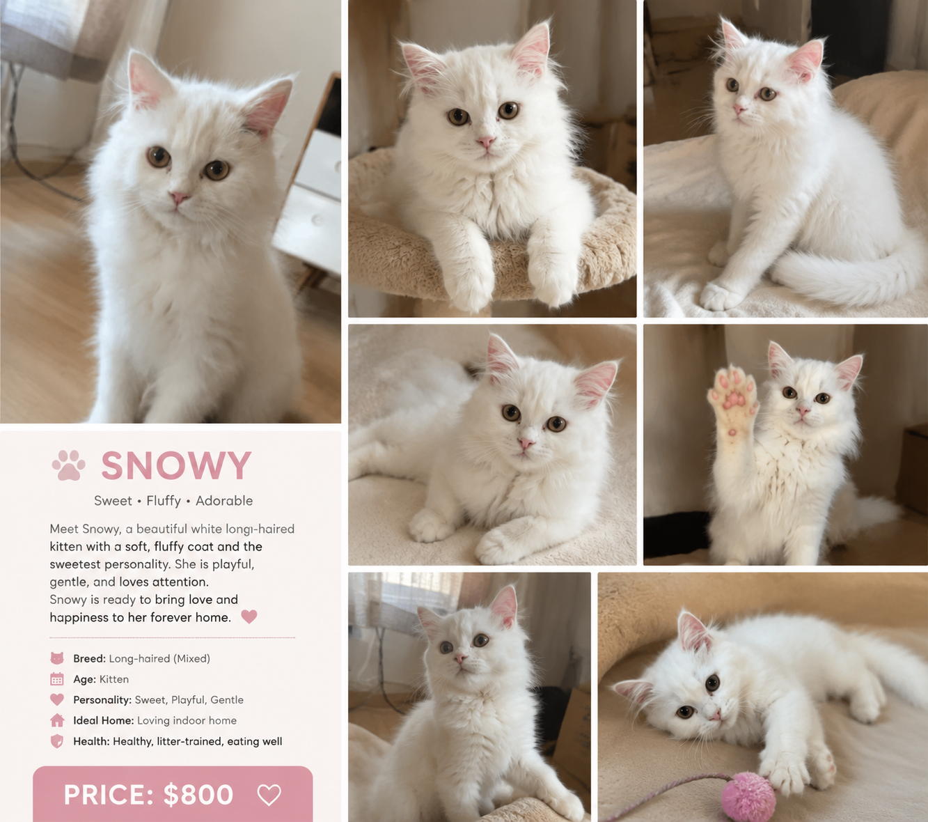 Snowy image 3