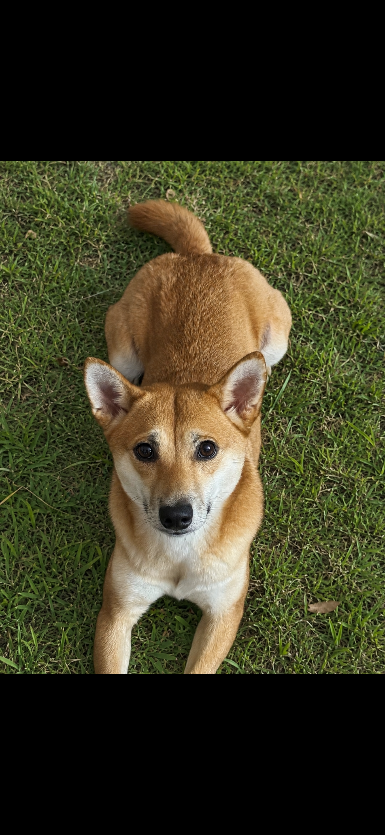 Sara image 1