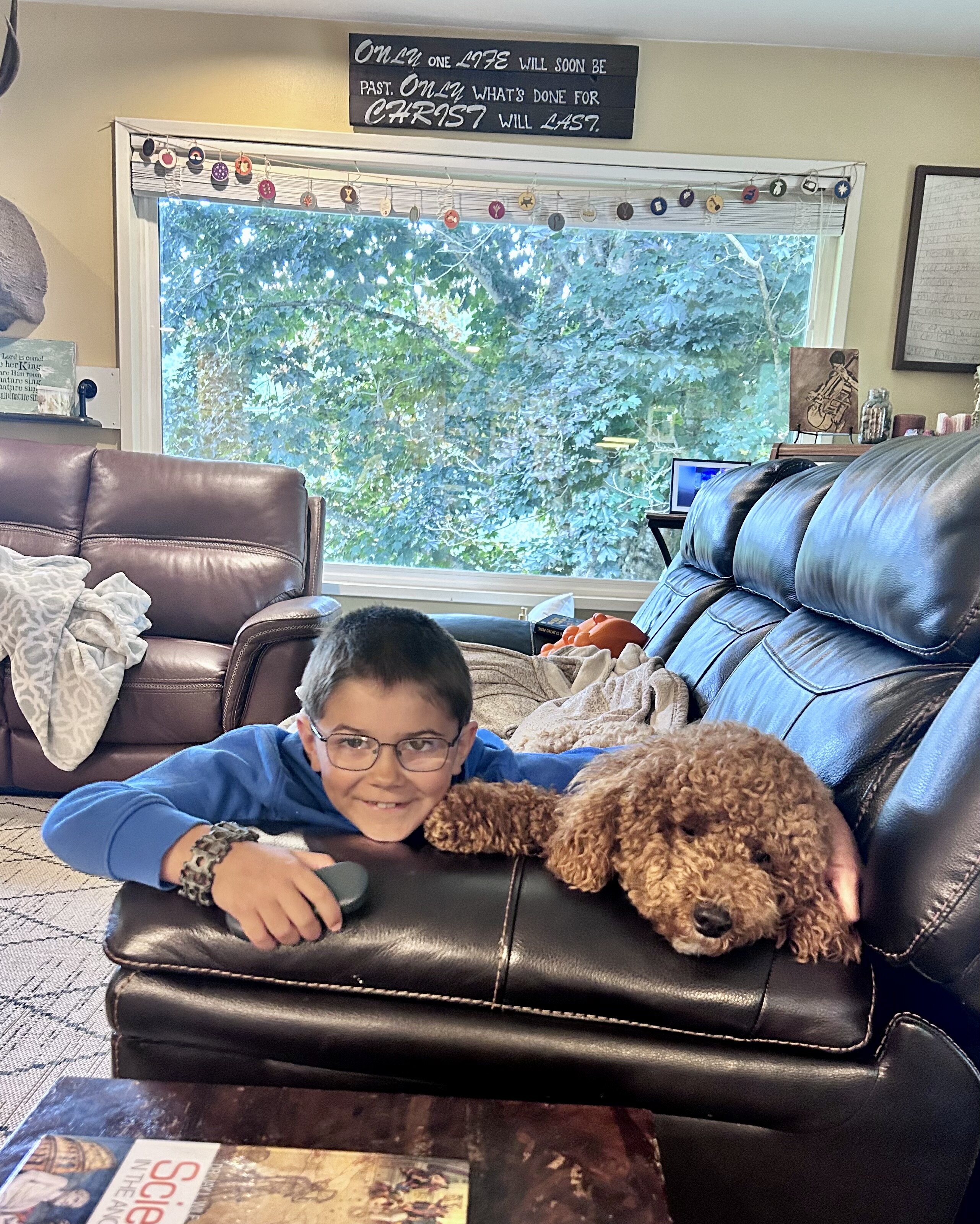 Golden Doodle image 3