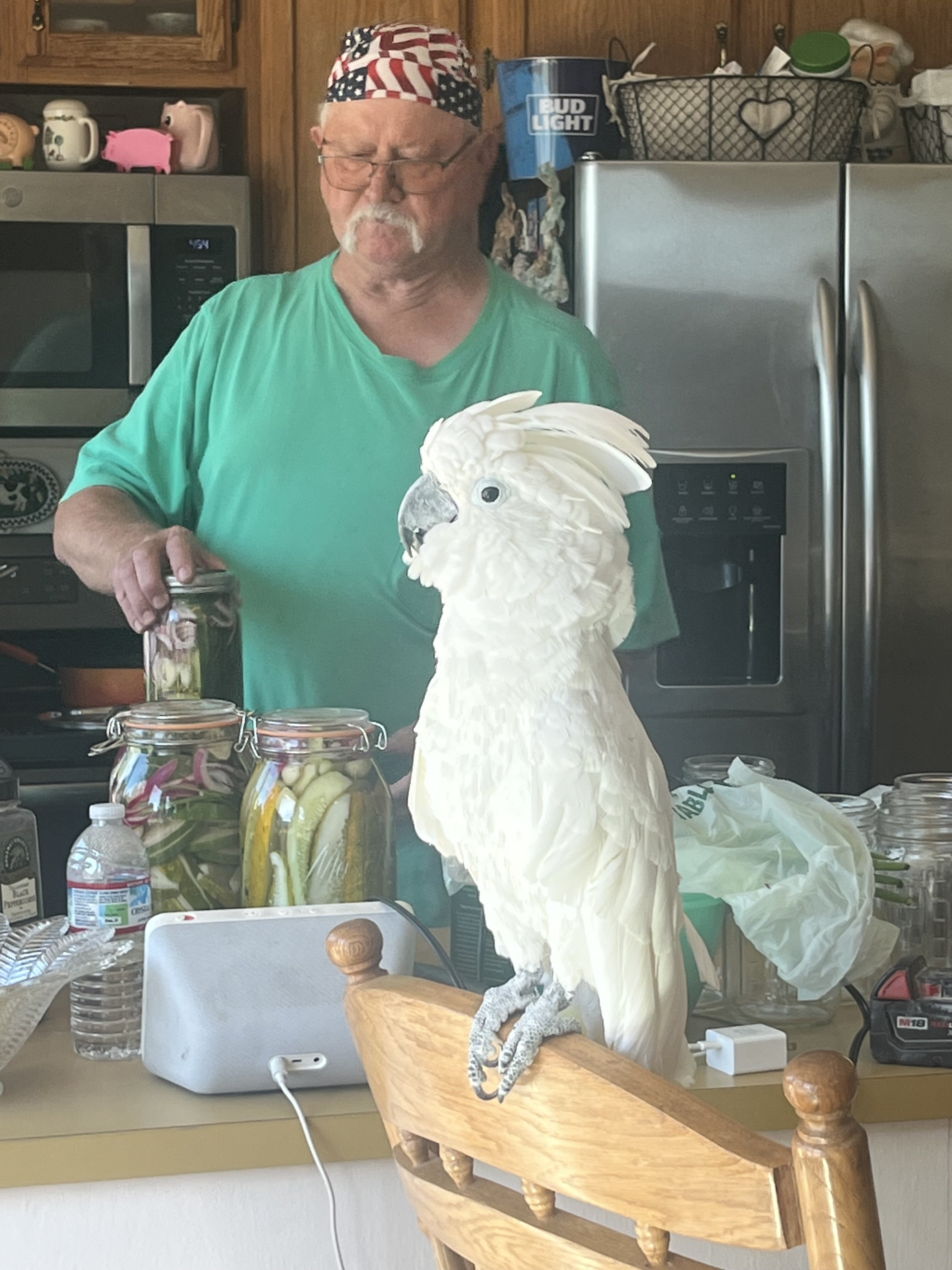 Cockatoo umbrella image 2