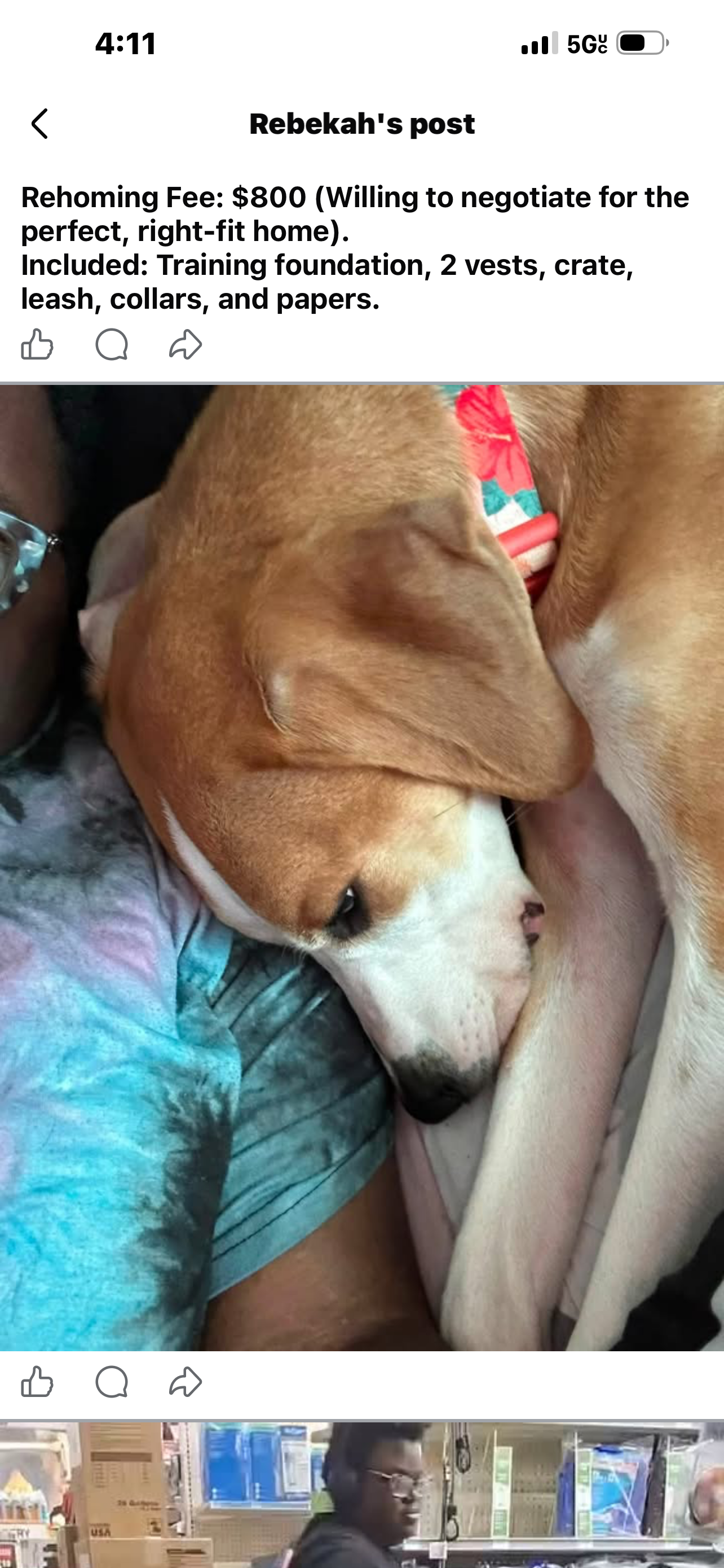 Service dog image 3