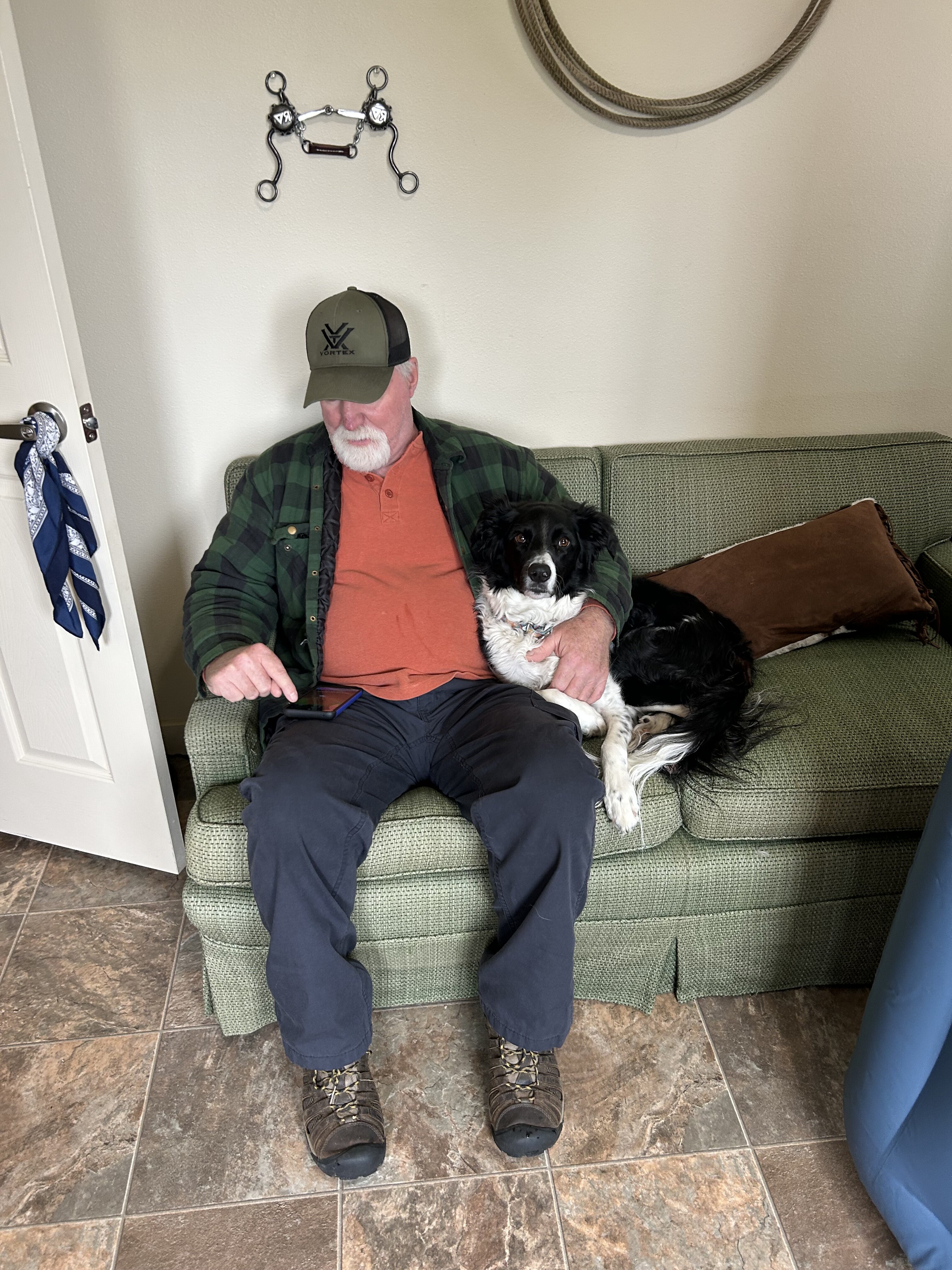 Female Border Collie image 2