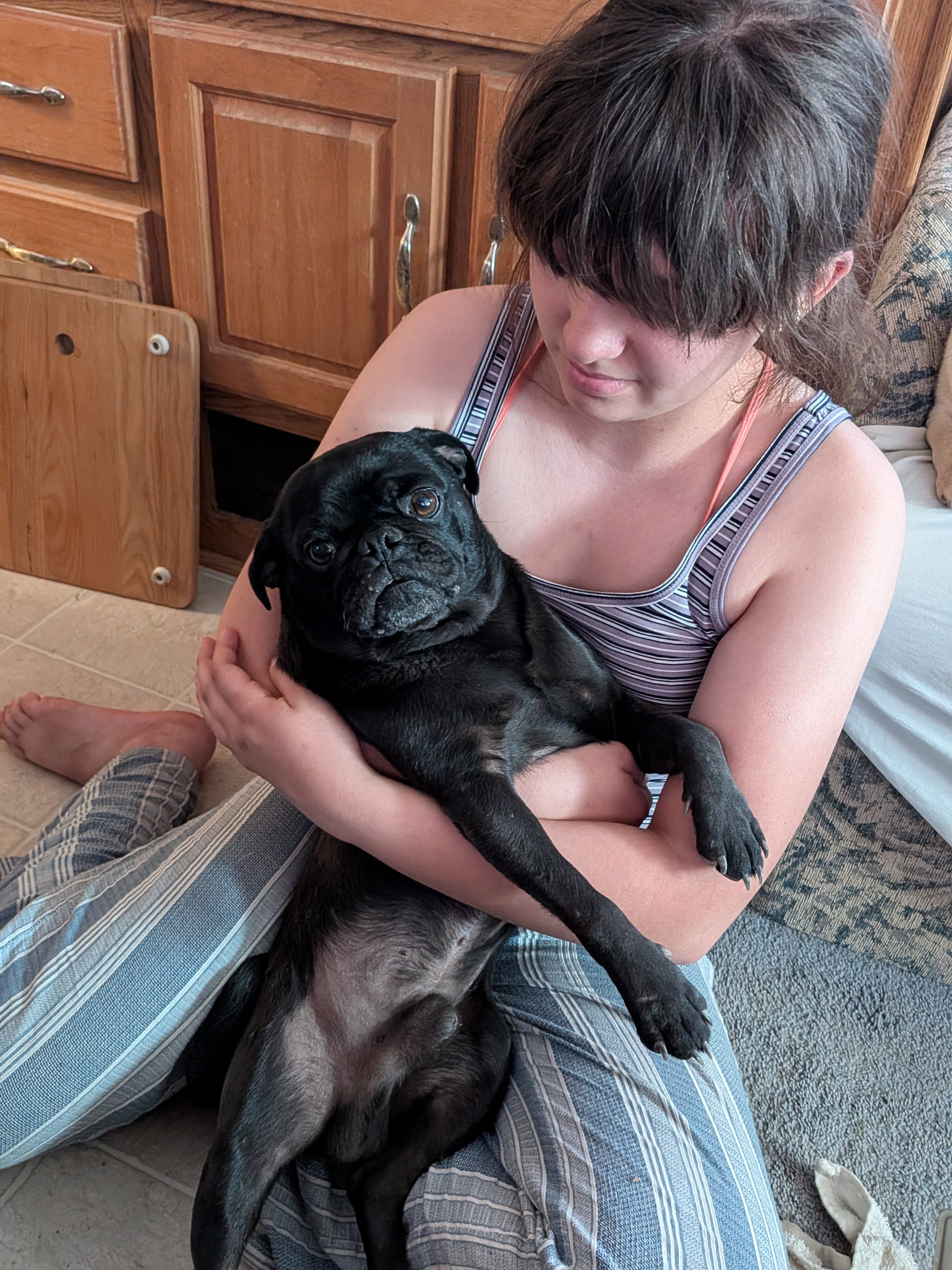2 year old black pig image 2