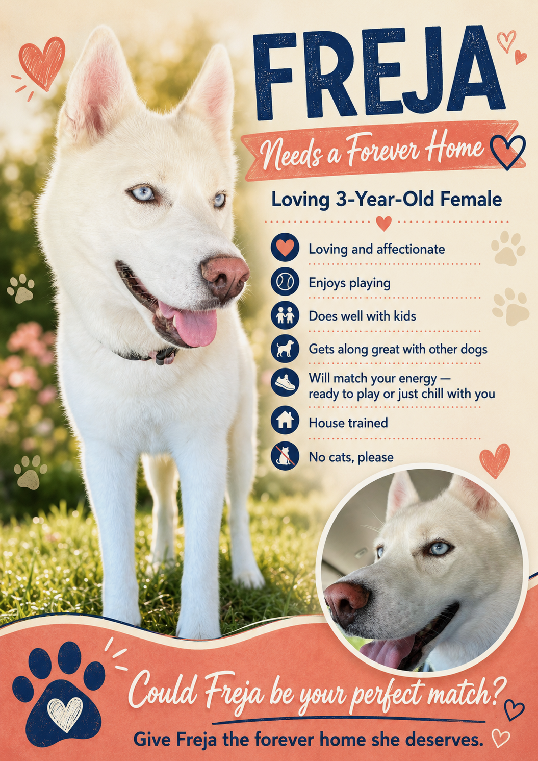 Husky image 3