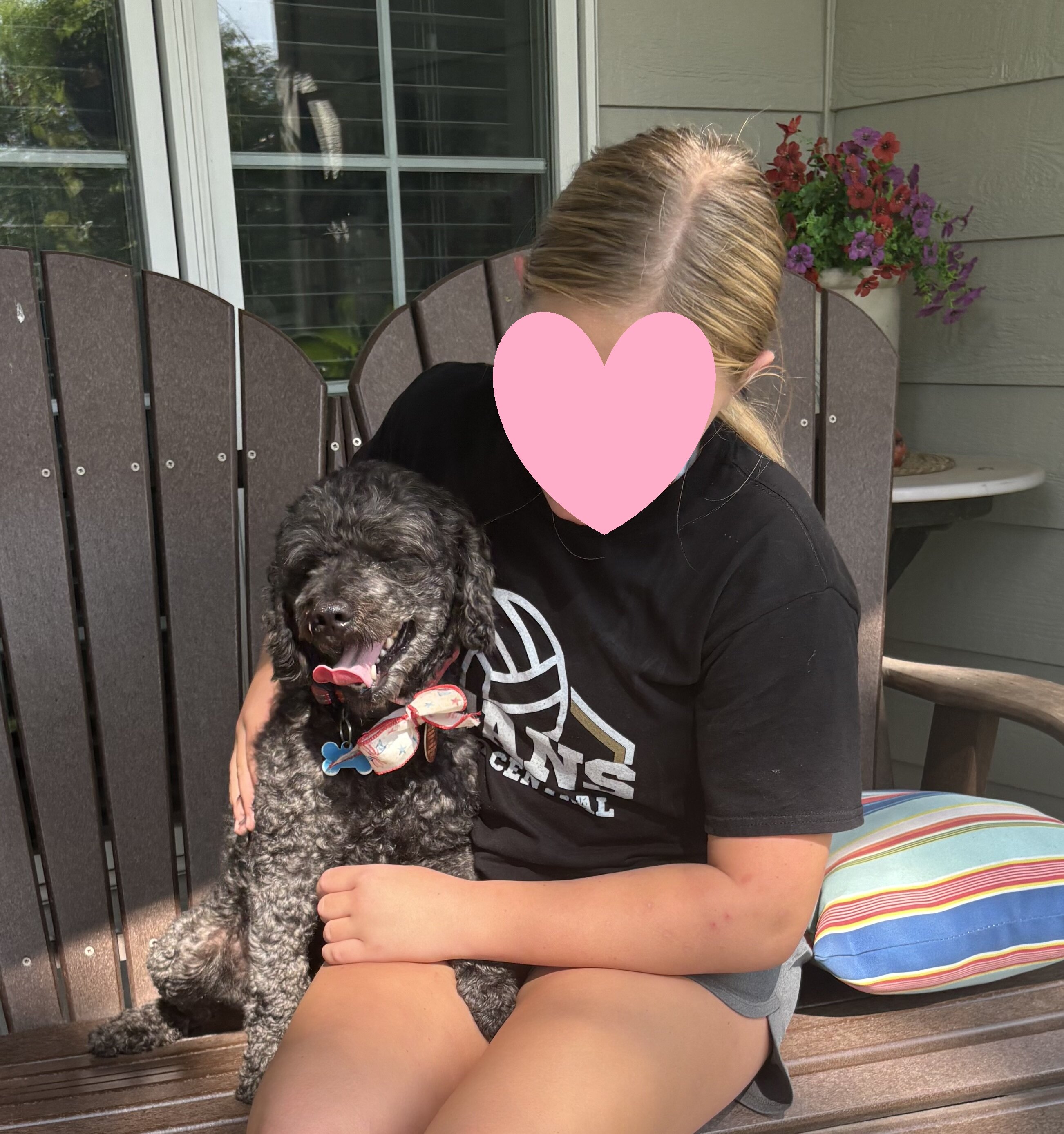 5 YR OLD MINIATURE GOLDENDOODLE image 3