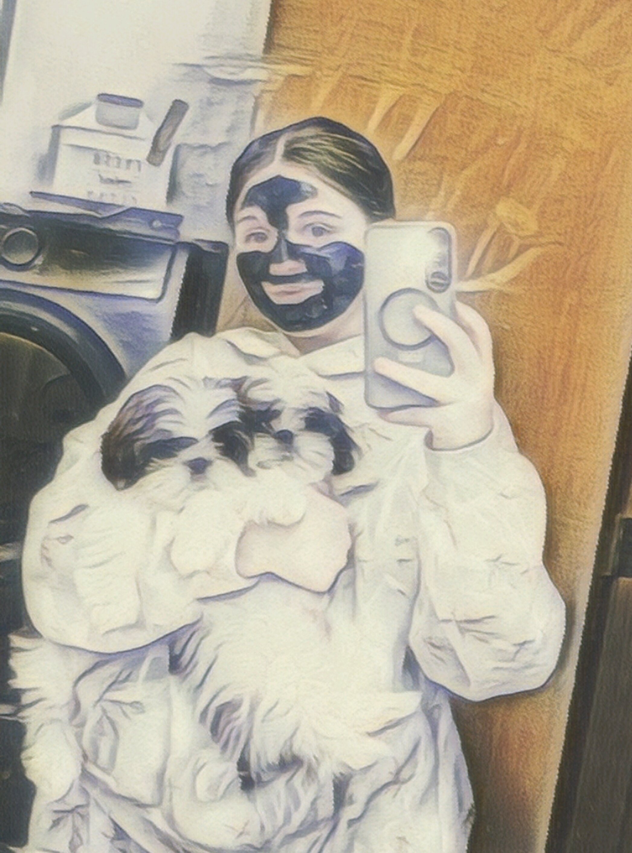 Shih tzus image 1