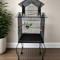 3 parakeets cage included