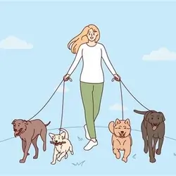 Dog Walking Services
