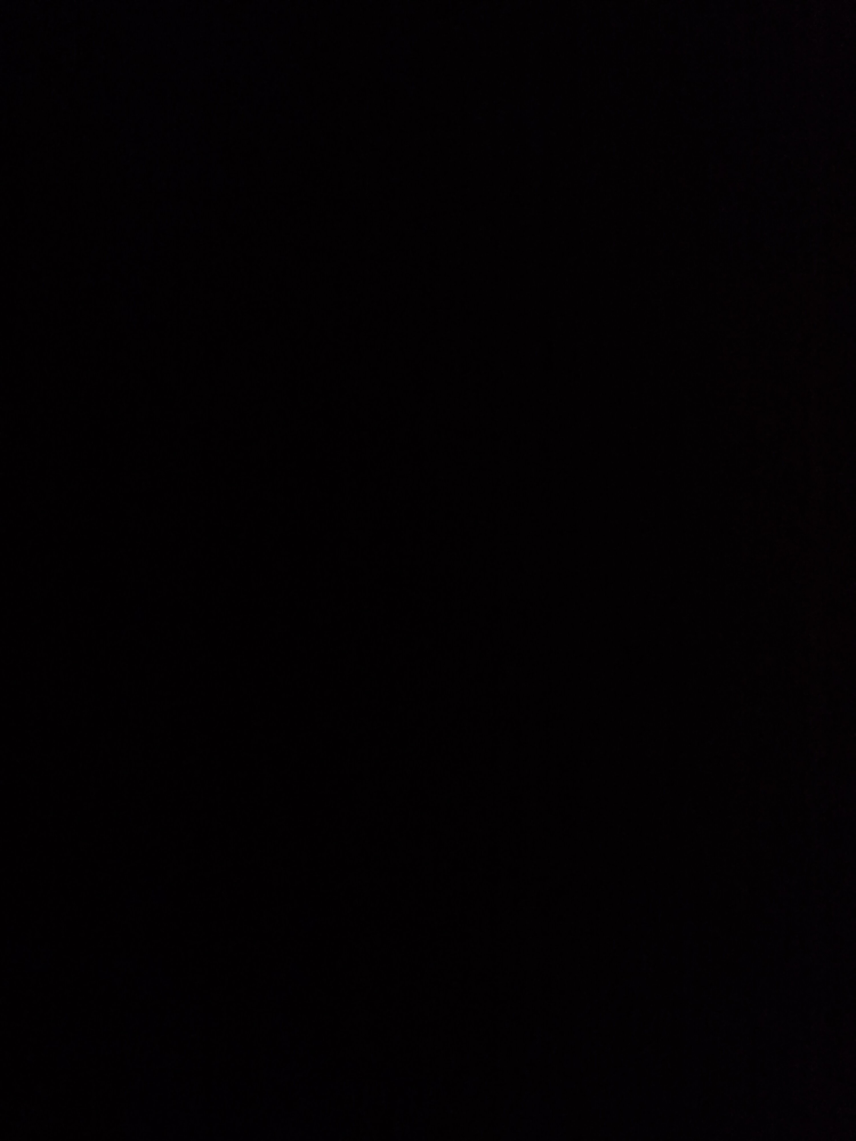 1.5 yr old female cockerspaniel image 5