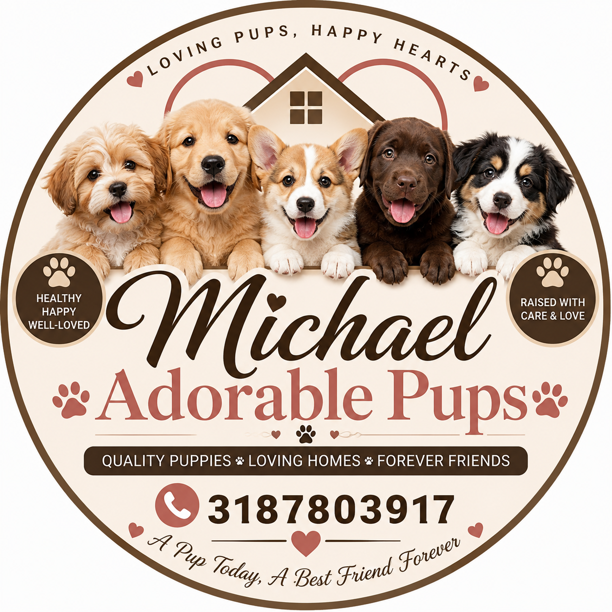 Dogs puppies image 10