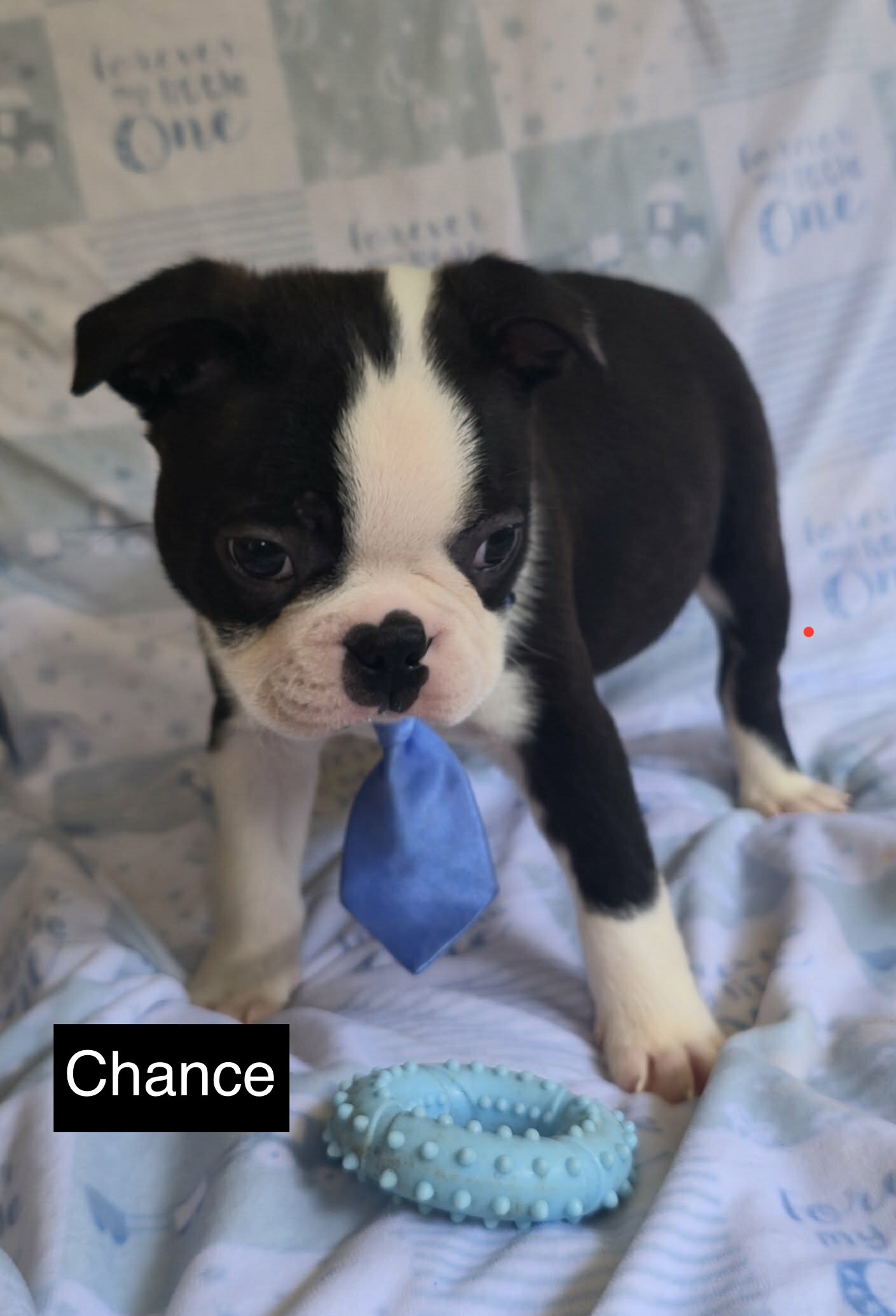 Chance image 10