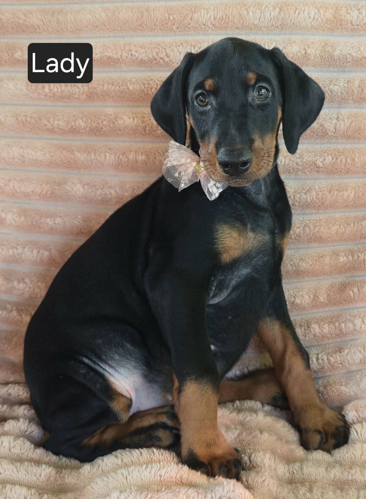 Lady image 3