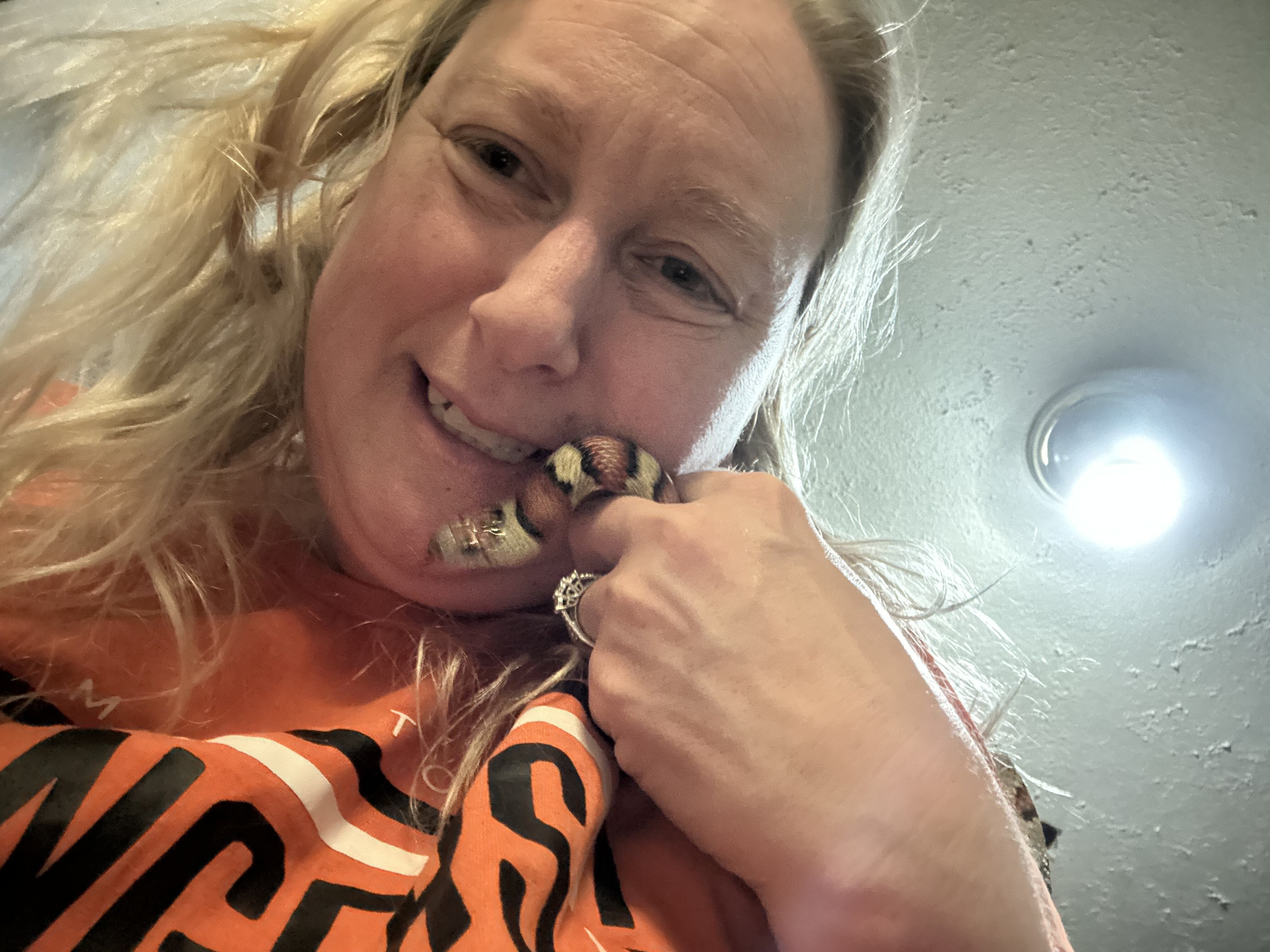 king snake with enclosure image 2