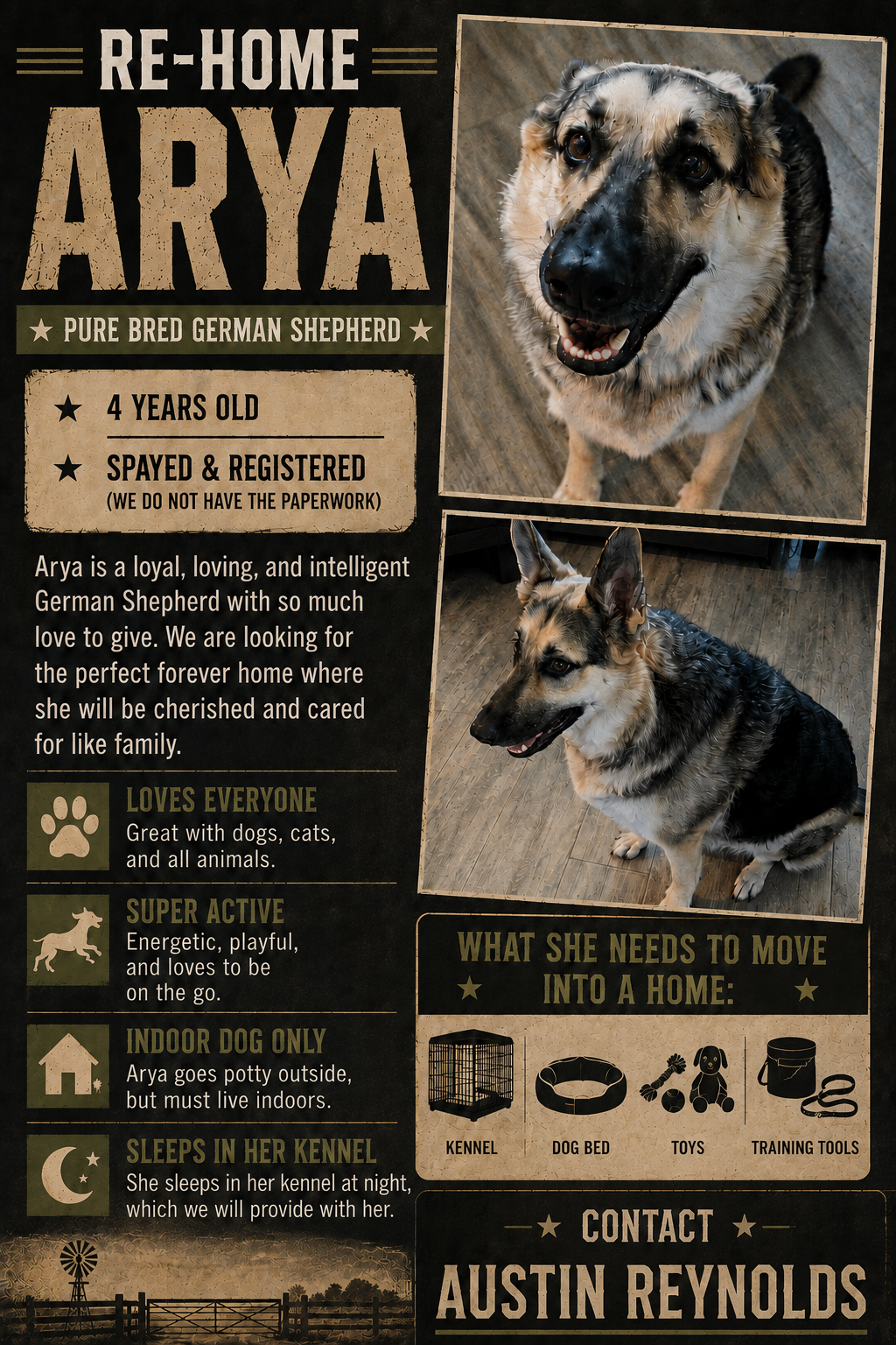German Shepherd image 1